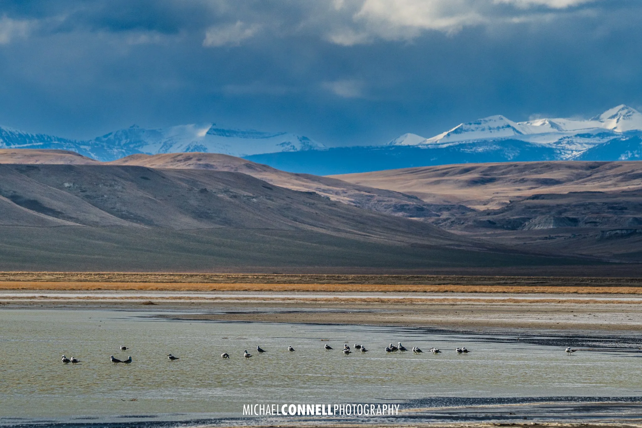 A landscape featuring a large body of water with birds standing on it, surrounded by bare earth, with rolling hills in the background and snow-capped mountains under a cloudy sky.