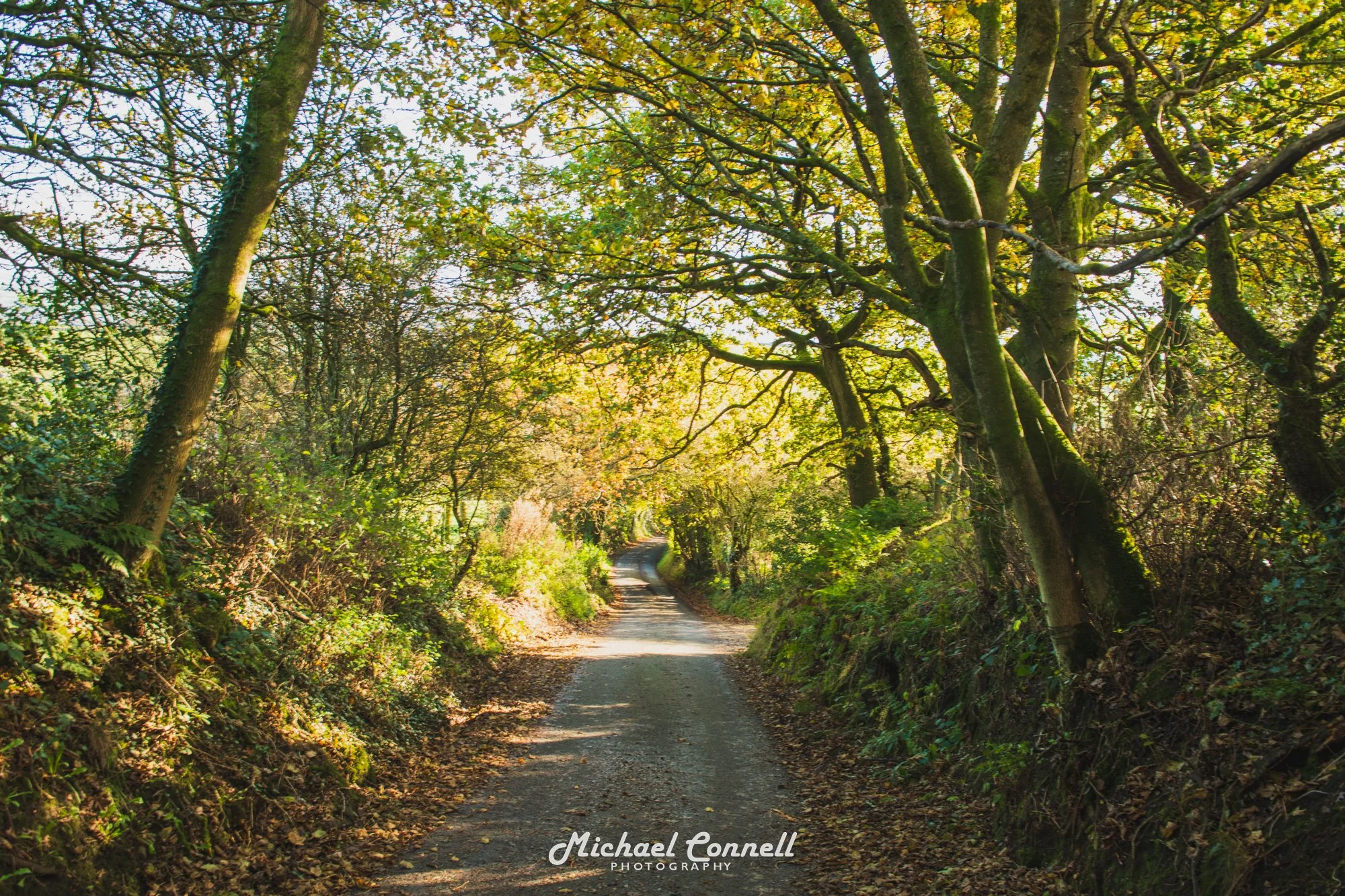 Country Lane, Gisburn, Lancashire, UK