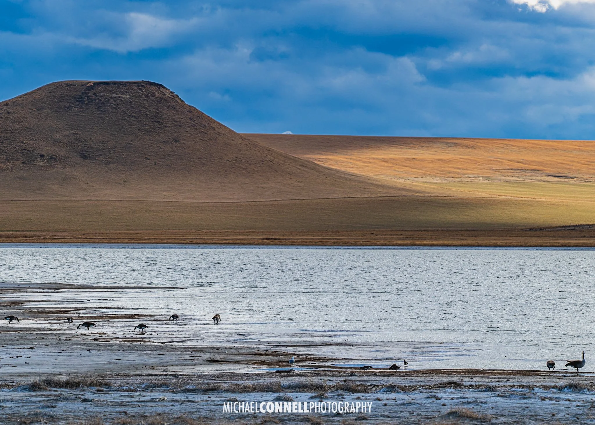 A landscape with a body of water in the foreground, several ducks and geese standing or walking near the shore, a large hill in the background, and a partly cloudy sky overhead.