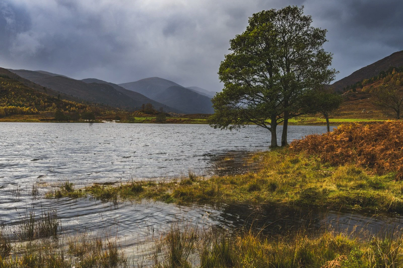 Plate 6: Glen Affric