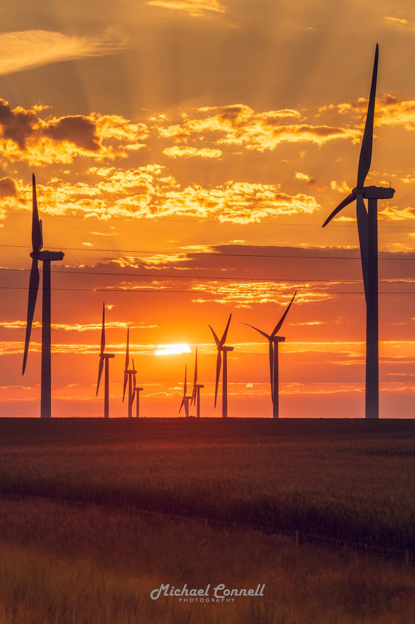 Wind Farm, Cherokee, Iowa
