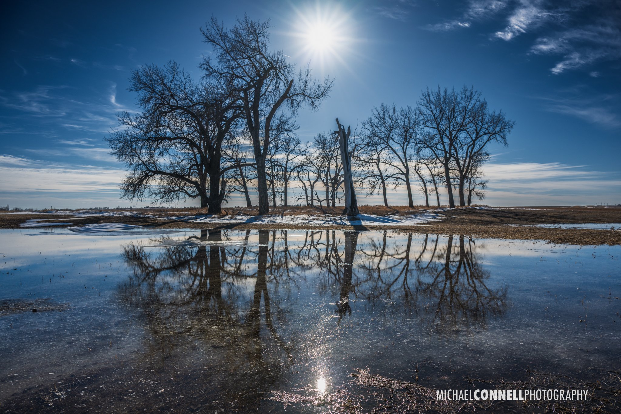 Landscapes
