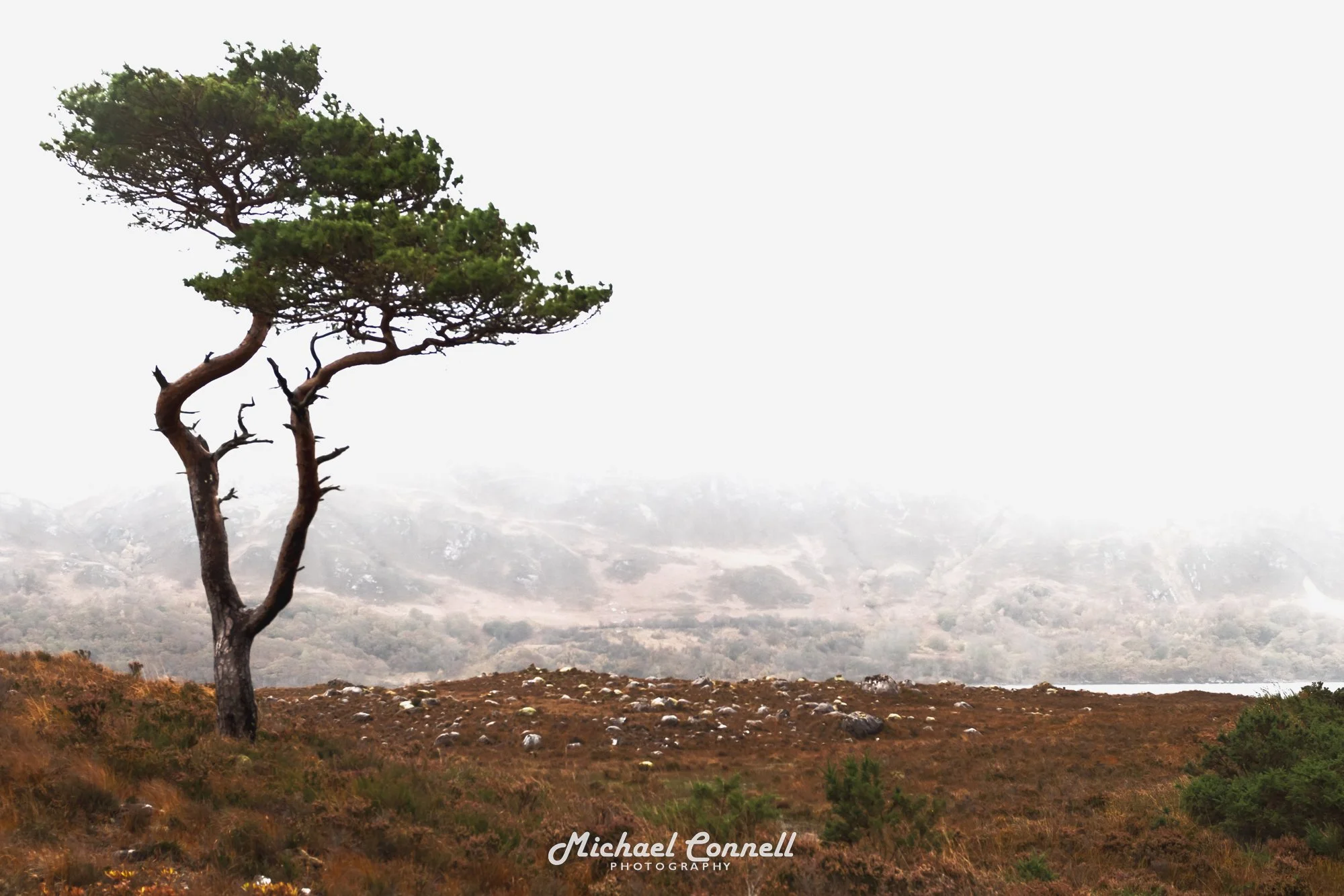 Torridon