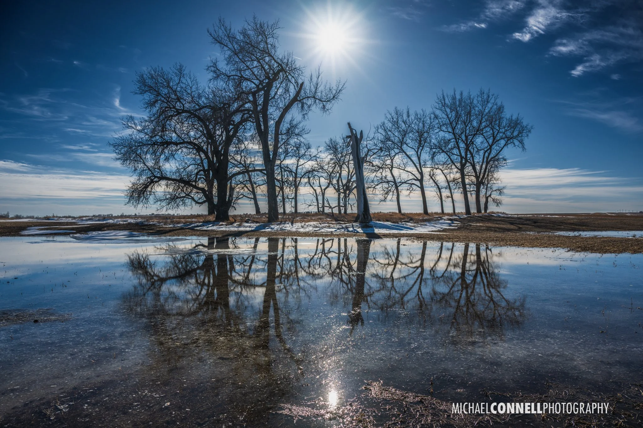 Leafless trees on a small island reflected in a calm body of water under a bright sun in a blue sky.