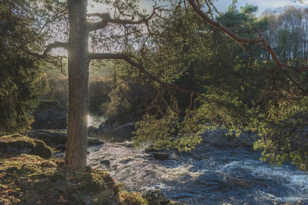 Glen Cassley Upper Falls