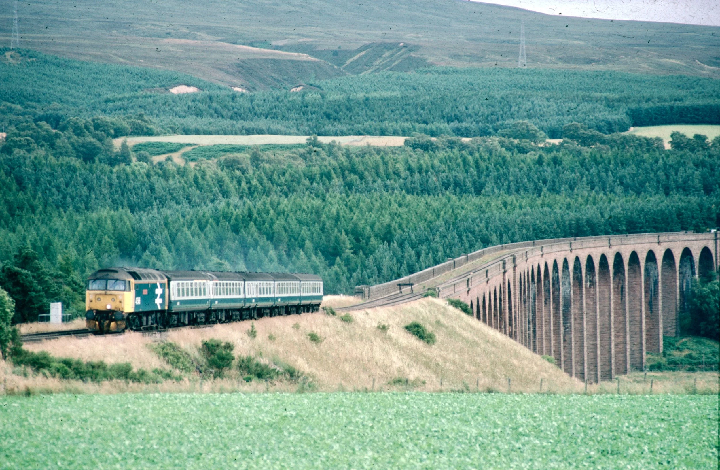 A train traveling through a lush green countryside landscape with rolling hills and a stone viaduct in the background.