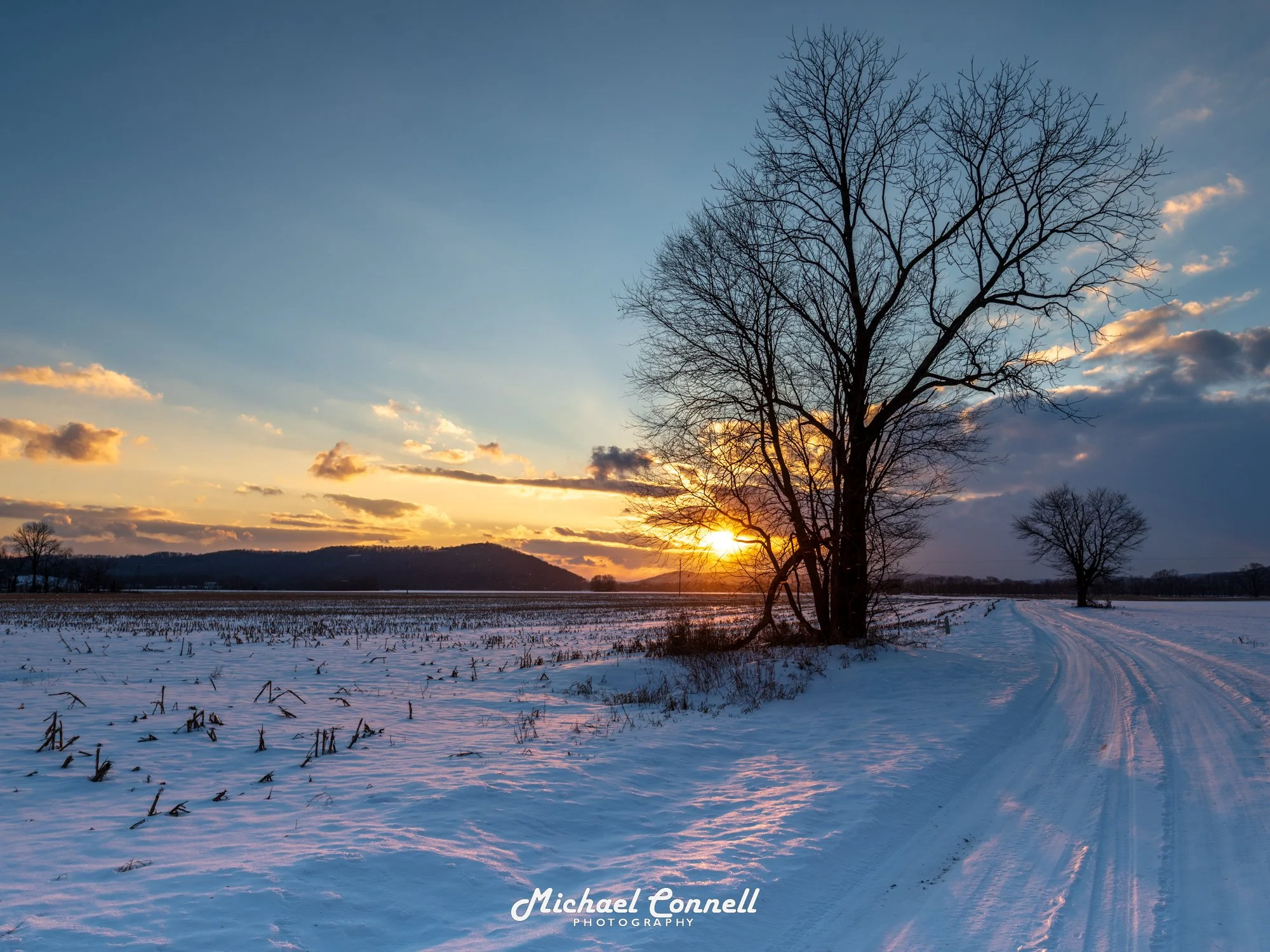 Snow-covered field with tire tracks and leafless trees, sunset in the background with clouds and a hill.