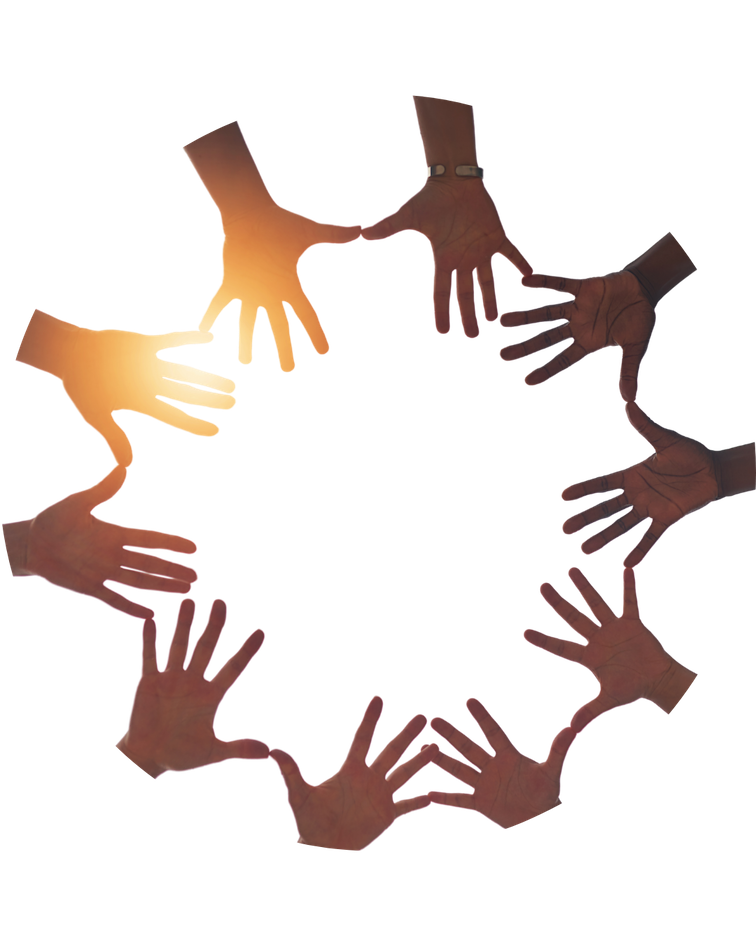 Multiple hands of different skin tones coming together in a circle, symbolising unity and teamwork.