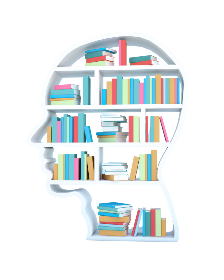 Bookcase shaped like a human head silhouette filled with colourful books.