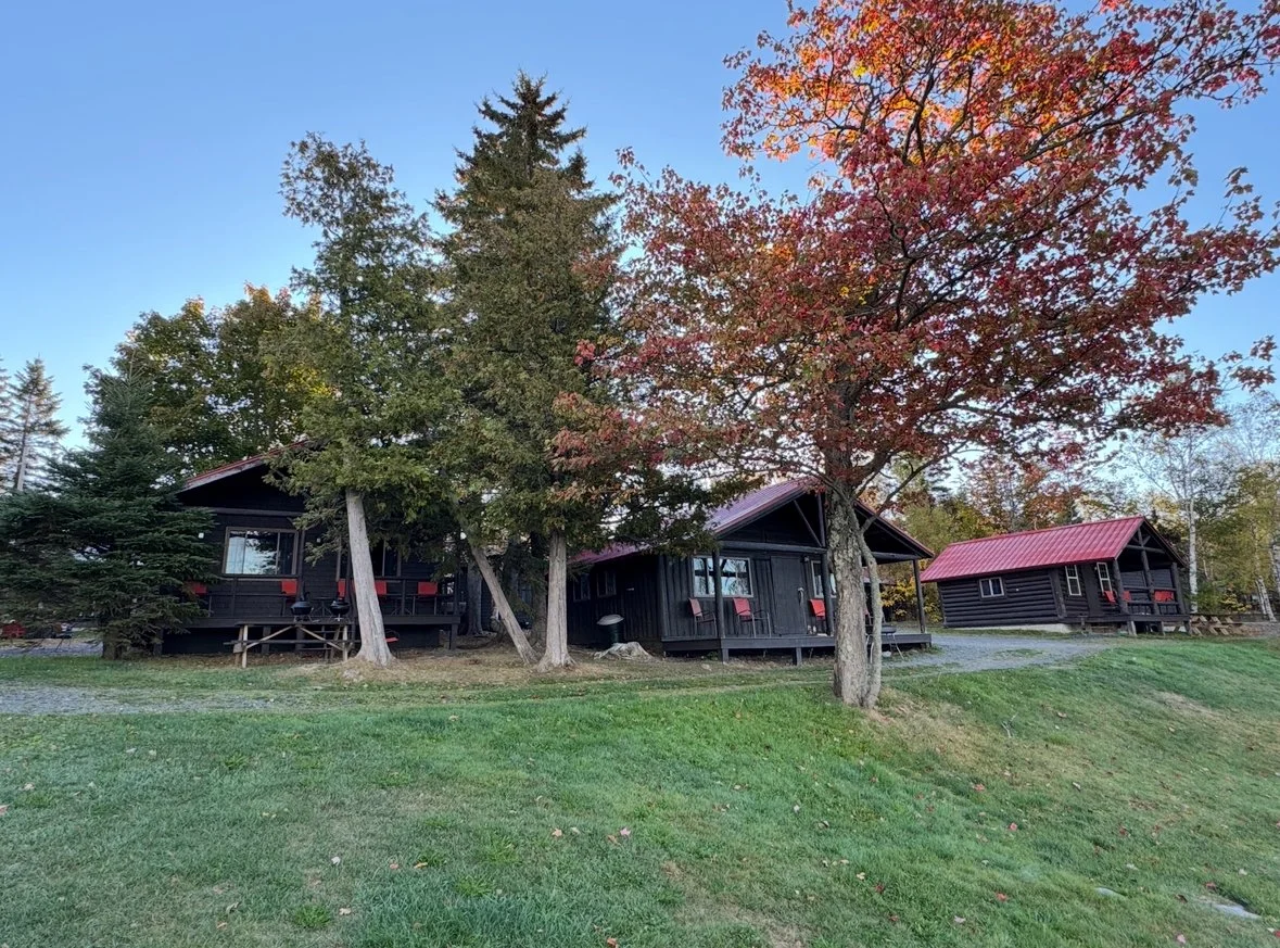 Sally Mountain Cabins, log cabins with red roofs surrounded by trees with (leaf peeping) fall foliage, situated on a grassy area under a clear blue sky.