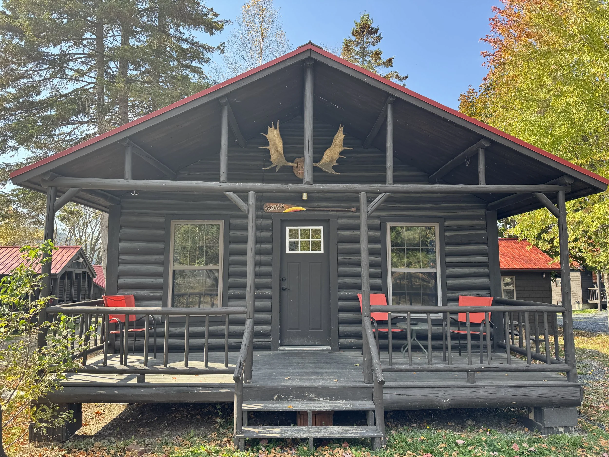 Sunrise log cabin with a raised porch, red chairs, and decorative moose antlers mounted above the door, surrounded by trees with fall foliage.