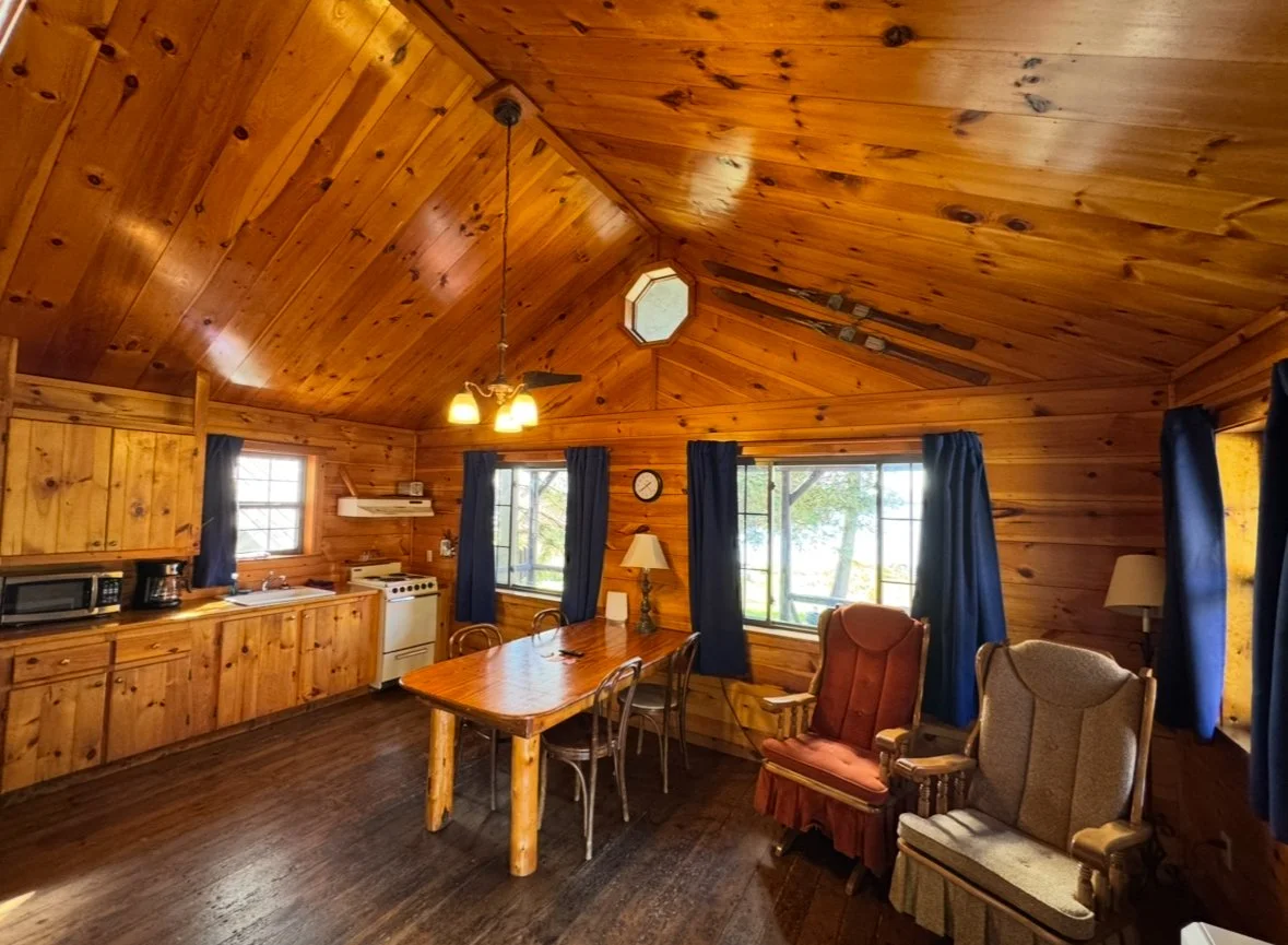 Wood-paneled Dreamland cabin interior with a wooden dining table, chairs, and vintage armchairs, with windows showing outdoor greenery.