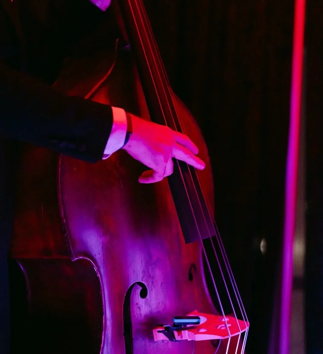Close-up of a person playing a double bass, illuminated by pink and purple stage lights.