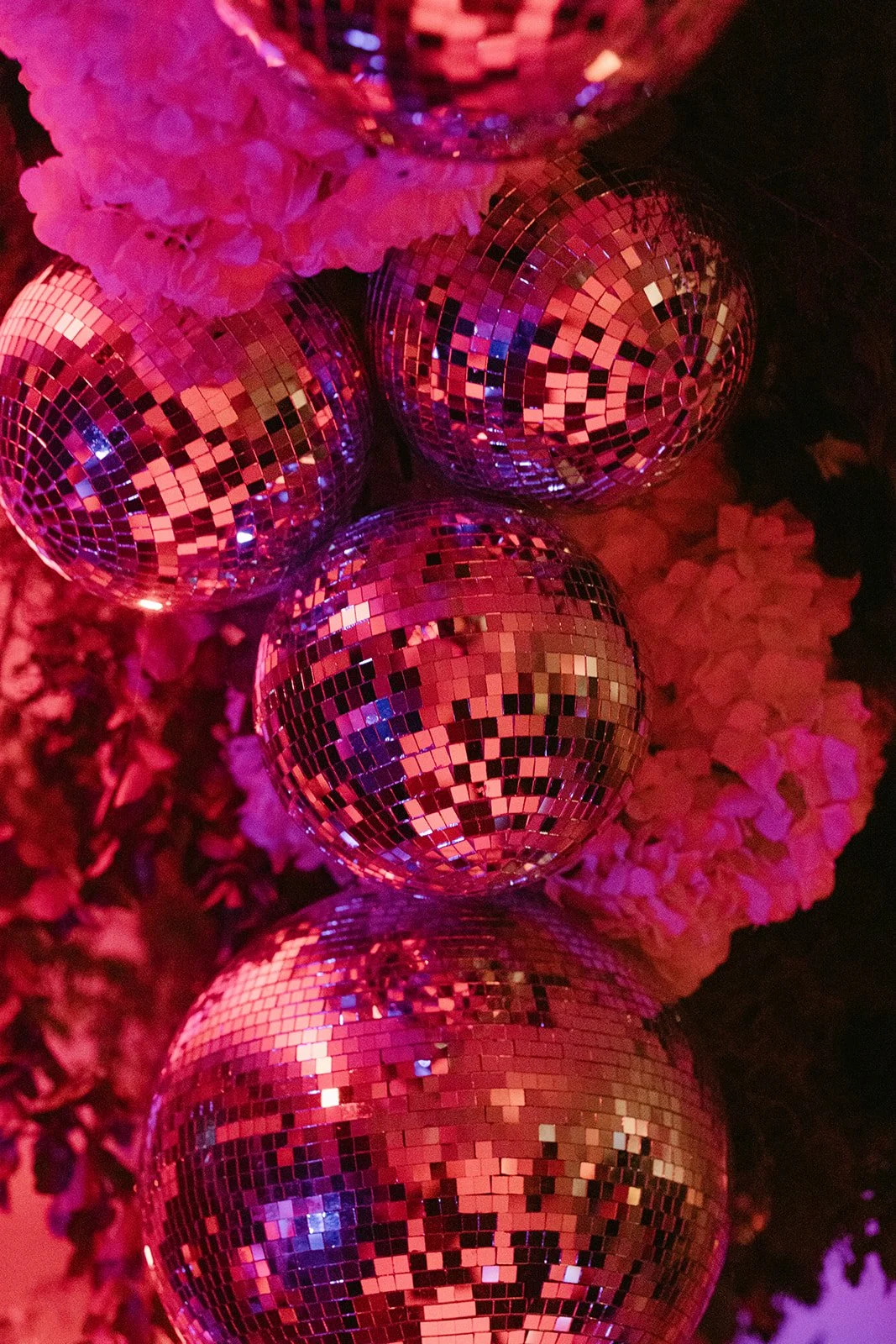 Four pink disco balls hanging amid pink flowers, reflecting light with mosaic-like patterns.