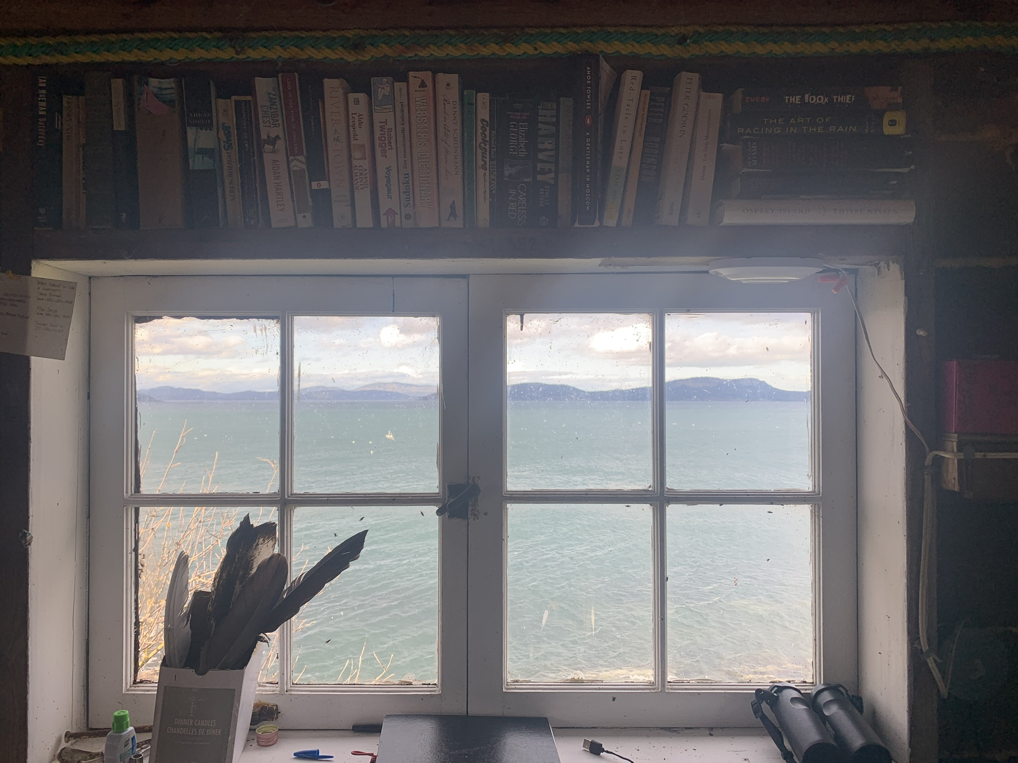 I’m back: A *what* followed me?