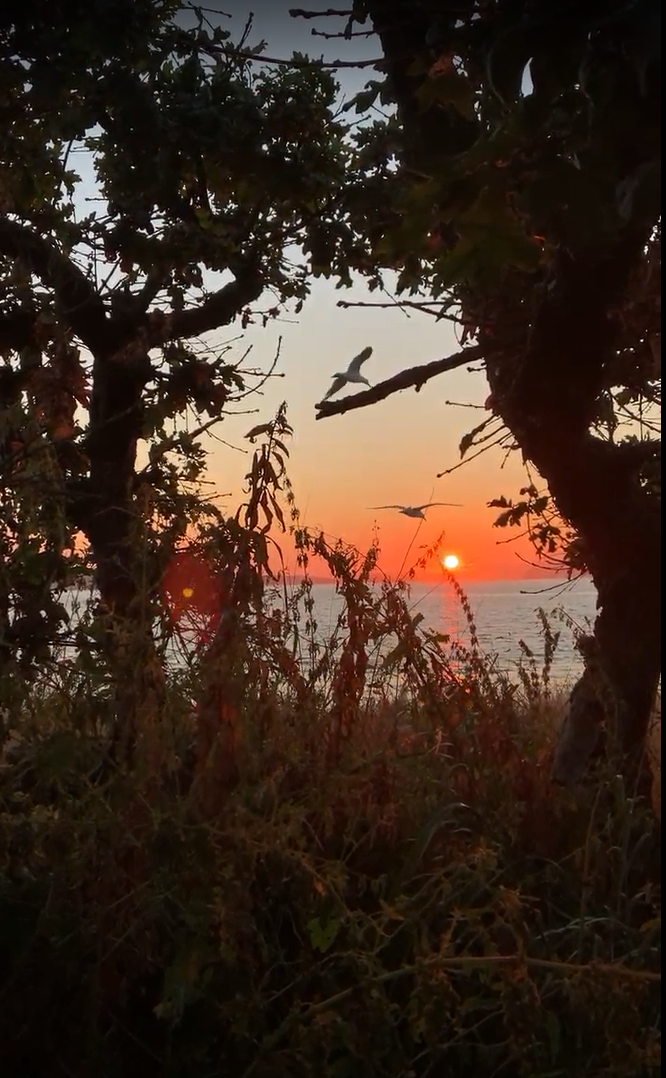 The four “oh sh*t” moments