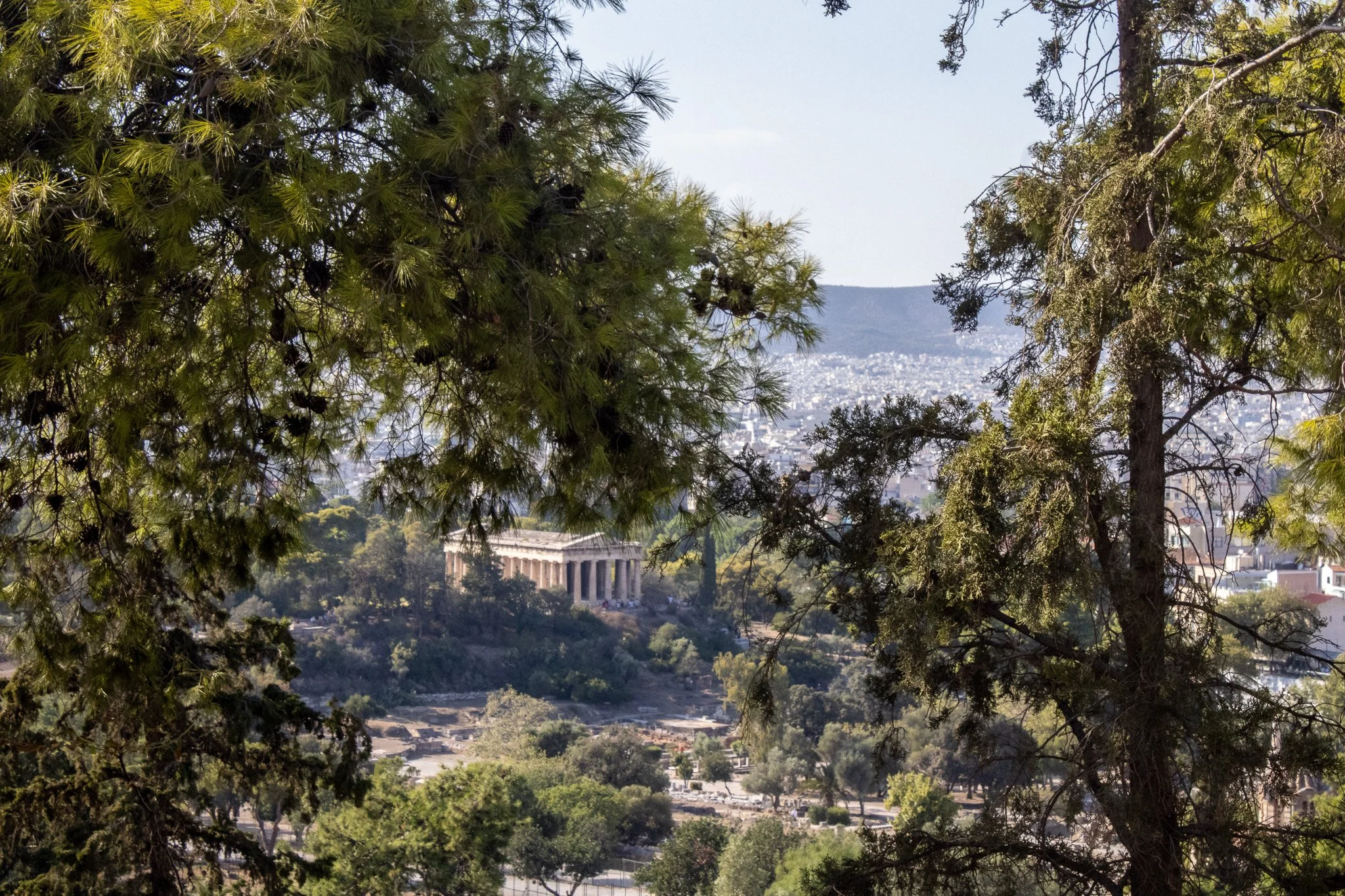 Week 6: A pain in my Athens