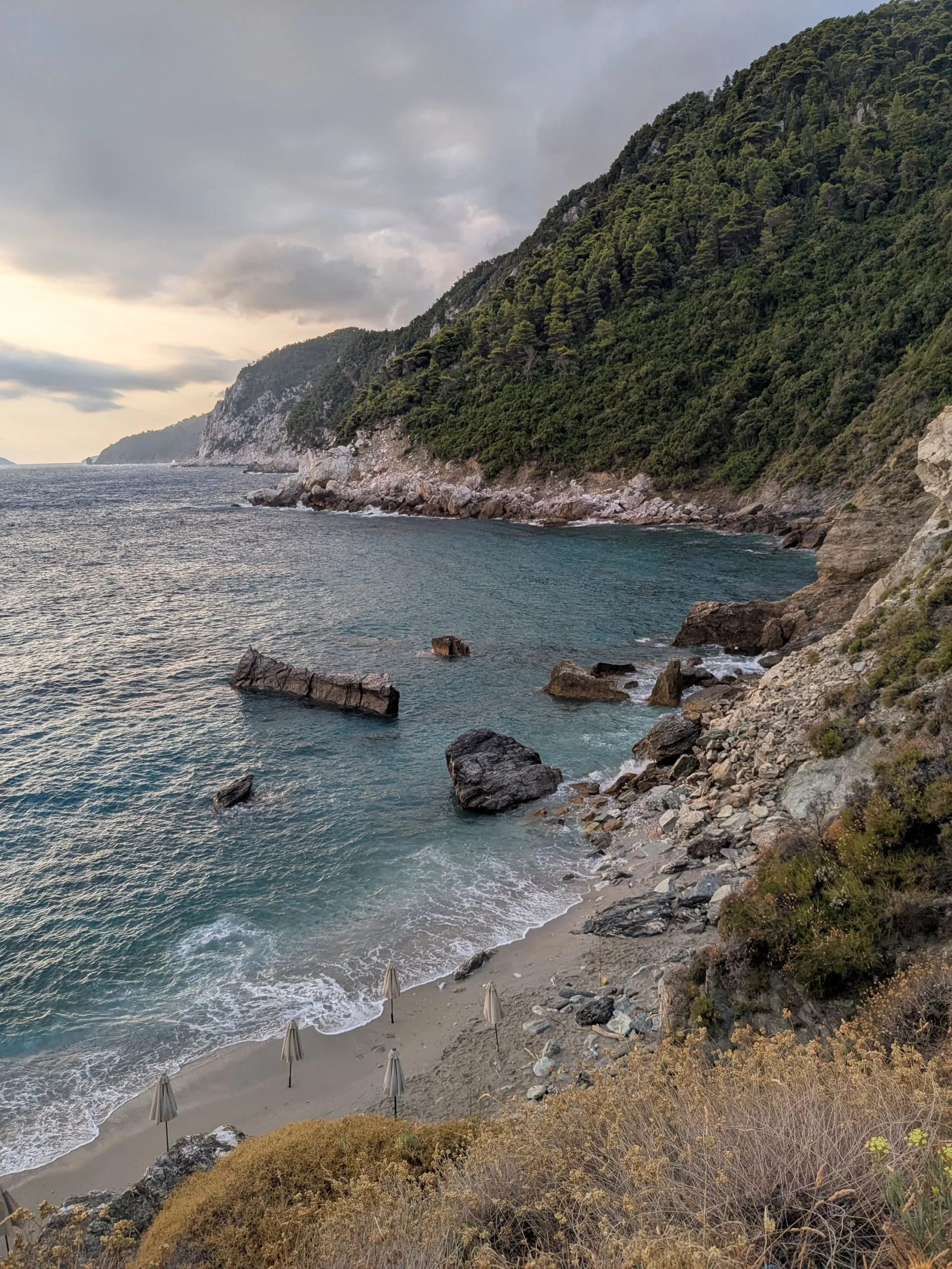 Week 2, part 2: Where there is a will, there is a church