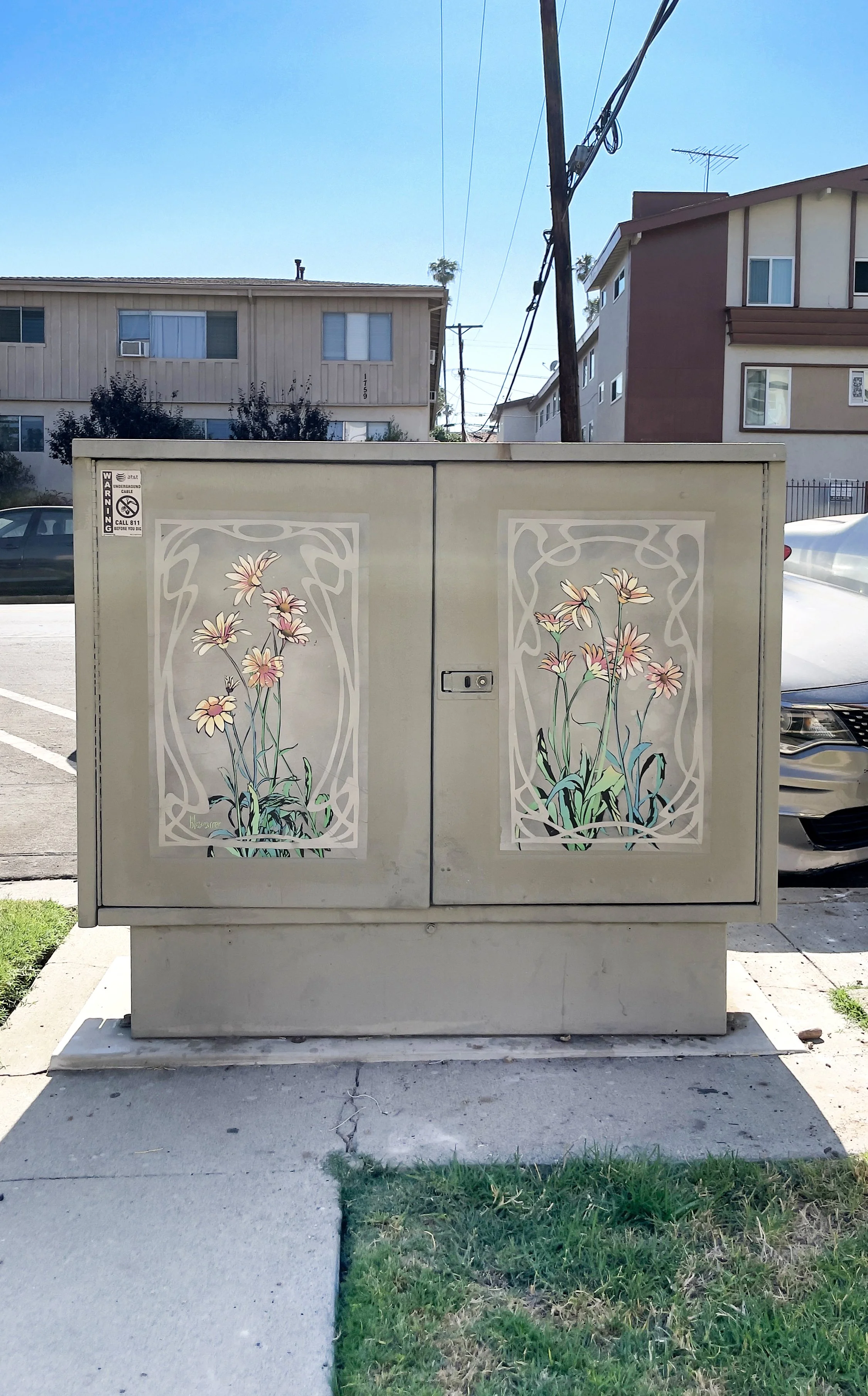 daisy feature hero.jpg