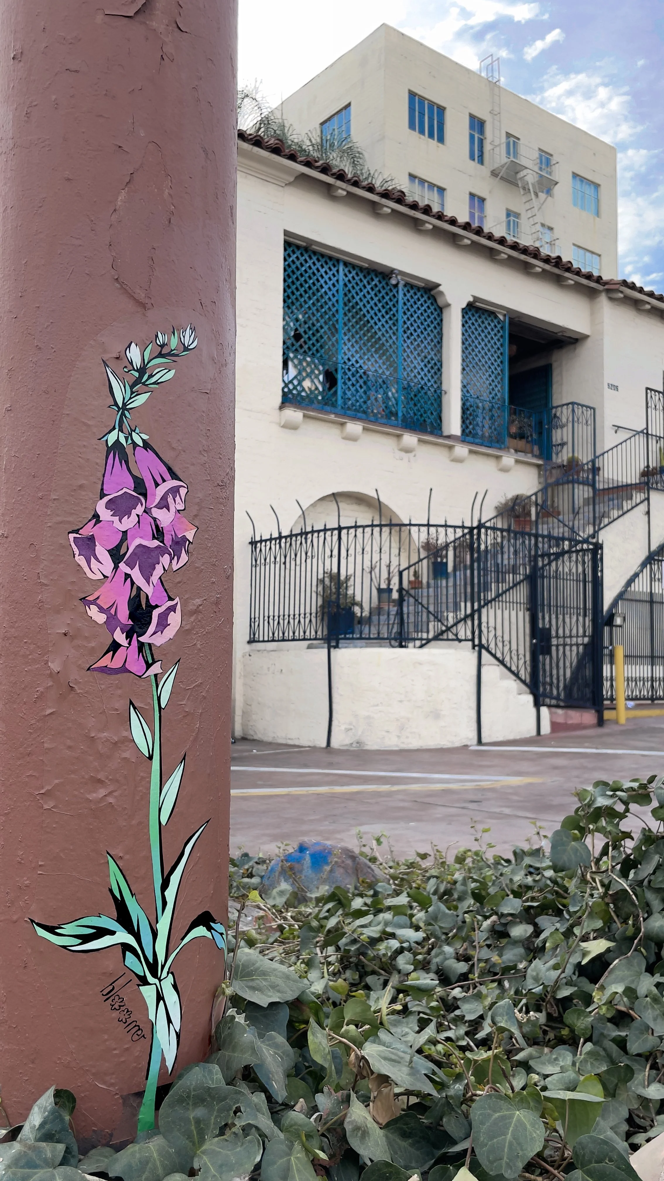 foxglove hero shot.jpg