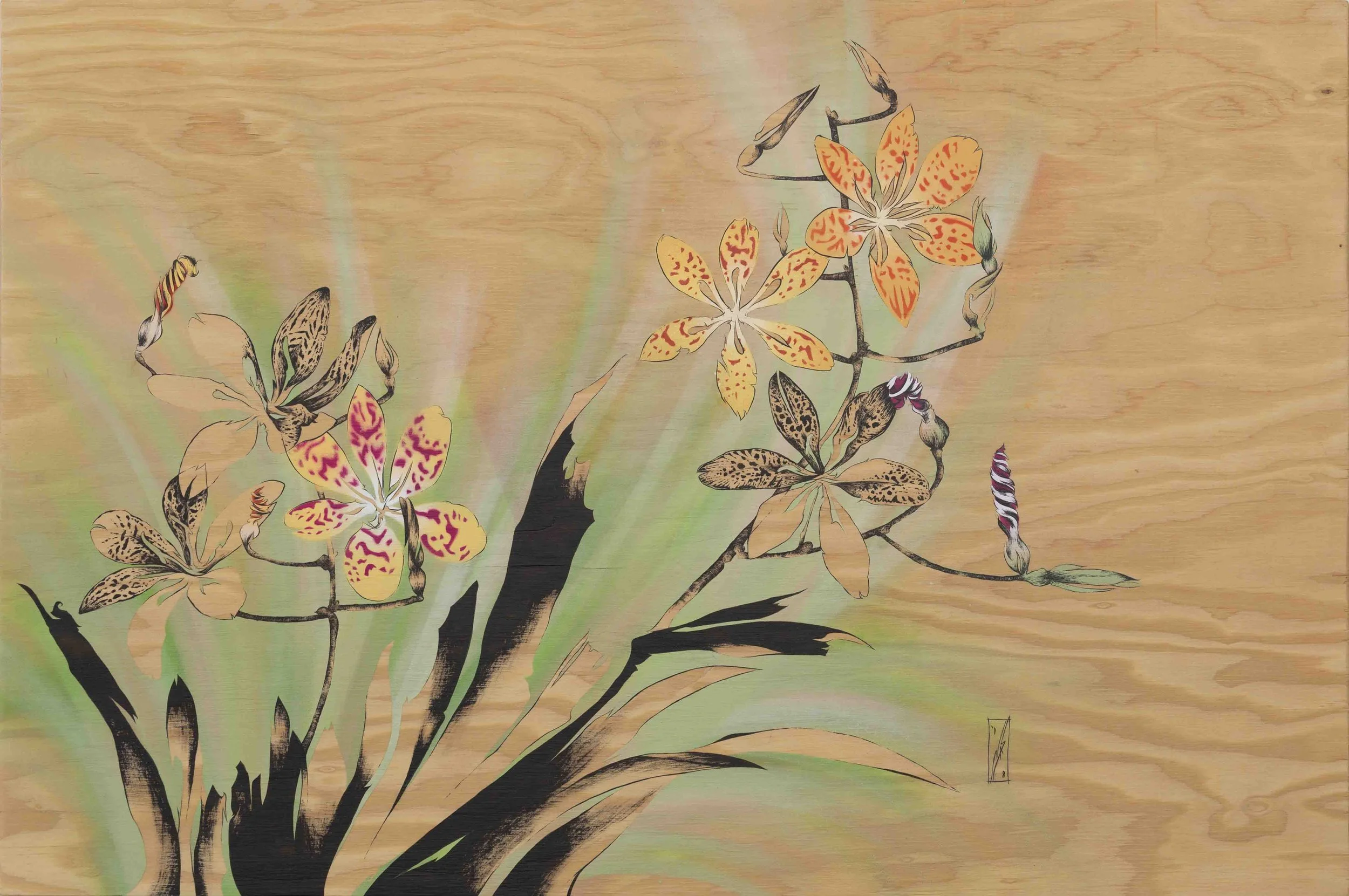 blackberry lily | 24”x36” | spray paint, acrylic and ink on wood panel | 2018