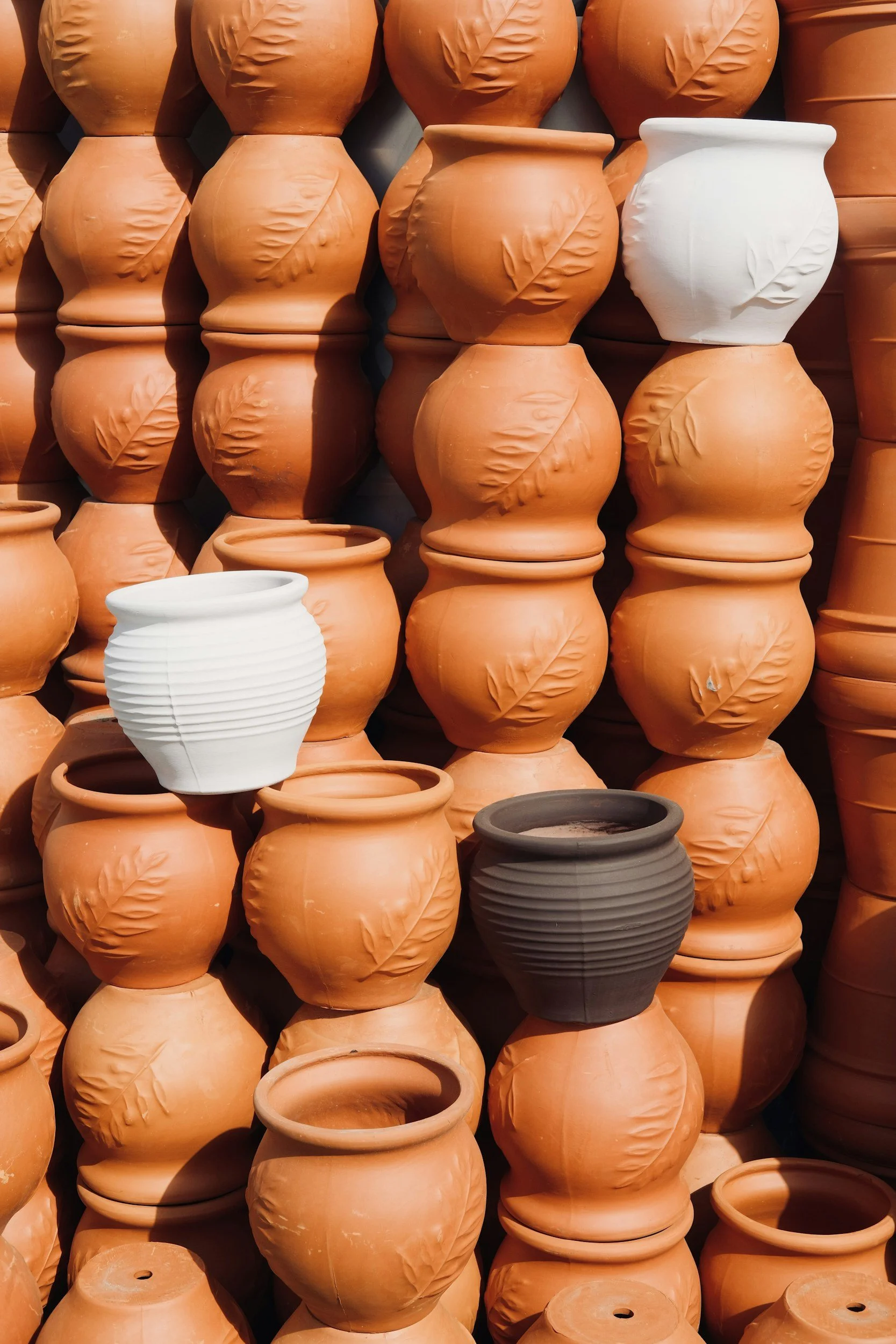 Best Pot Size for Cactus (How to Choose the Right Size)
