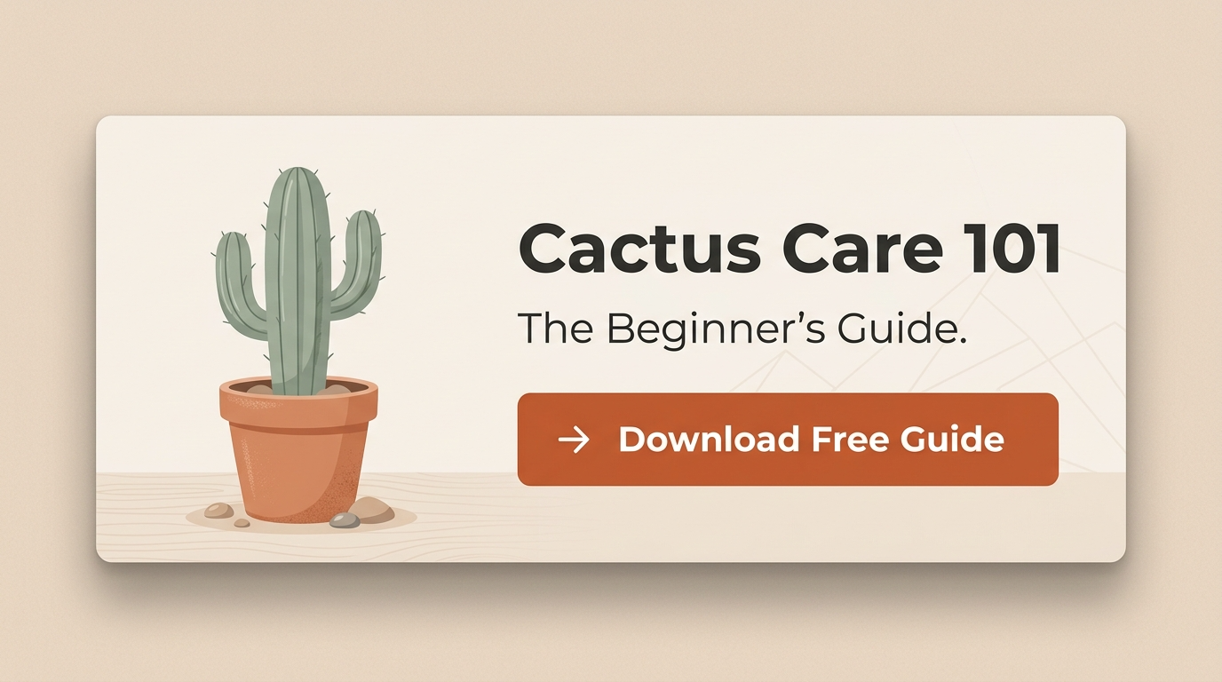 Cactus Care 101: Beginner's Guide