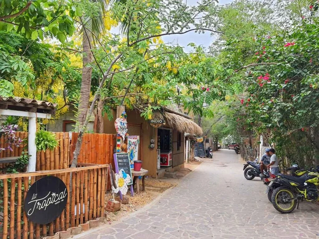 A street scene of Mazunte with tropical trees, small shops, and motorbikes parked along the sidewalk.