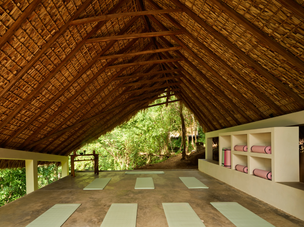 Yoga mats placed on a wooden floor inside a hut with a thatched roof surrounded by lush green trees.