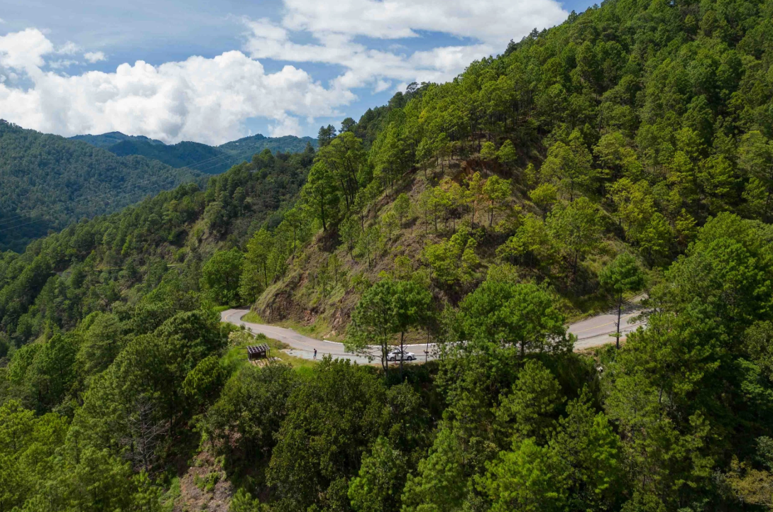 Winding mountain road going to Mazunte surrounded by lush green trees under a partly cloudy sky.