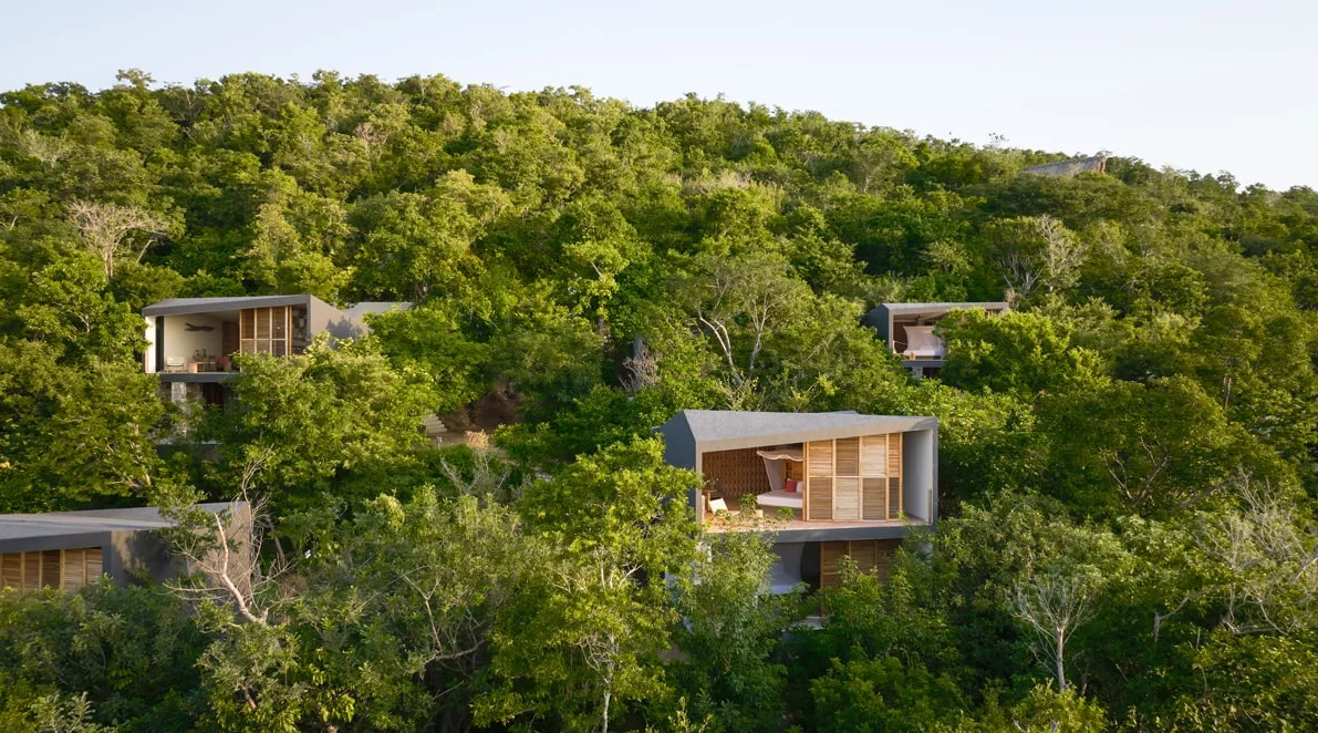 Modern houses perched on a lush, green hillside surrounded by dense trees.