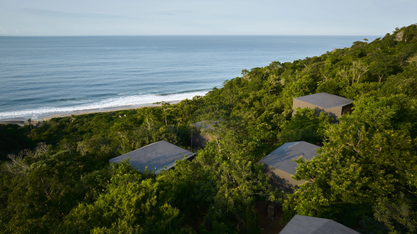 Aerial view of a lush green forested hillside near the ocean with a few buildings partially hidden among the trees, and a sandy beach along the shoreline in the distance.