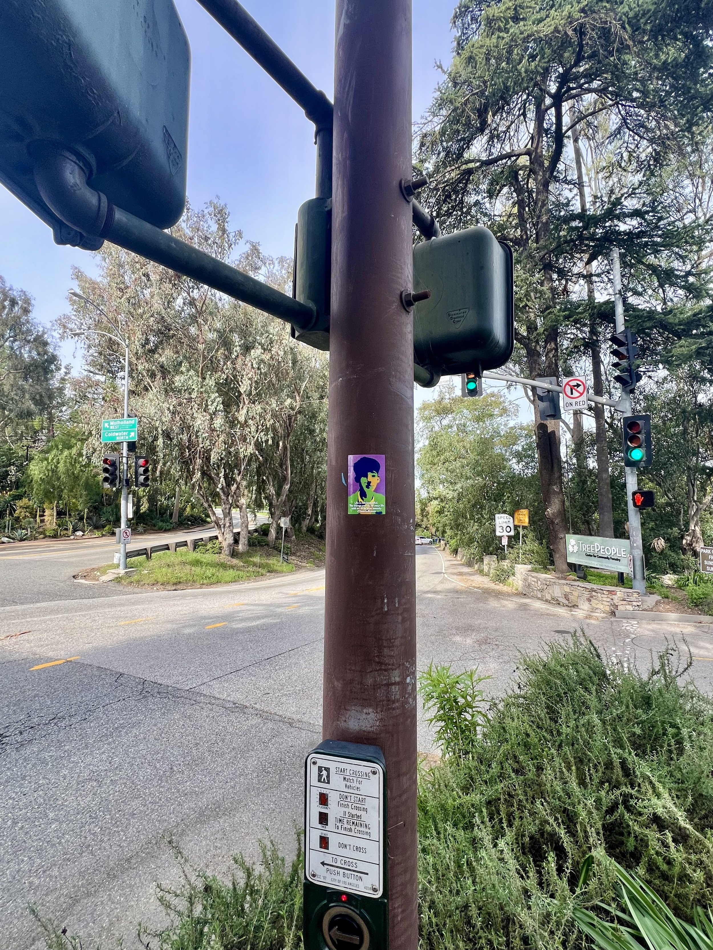 Hollywood Hills (CLICK PHOTO)