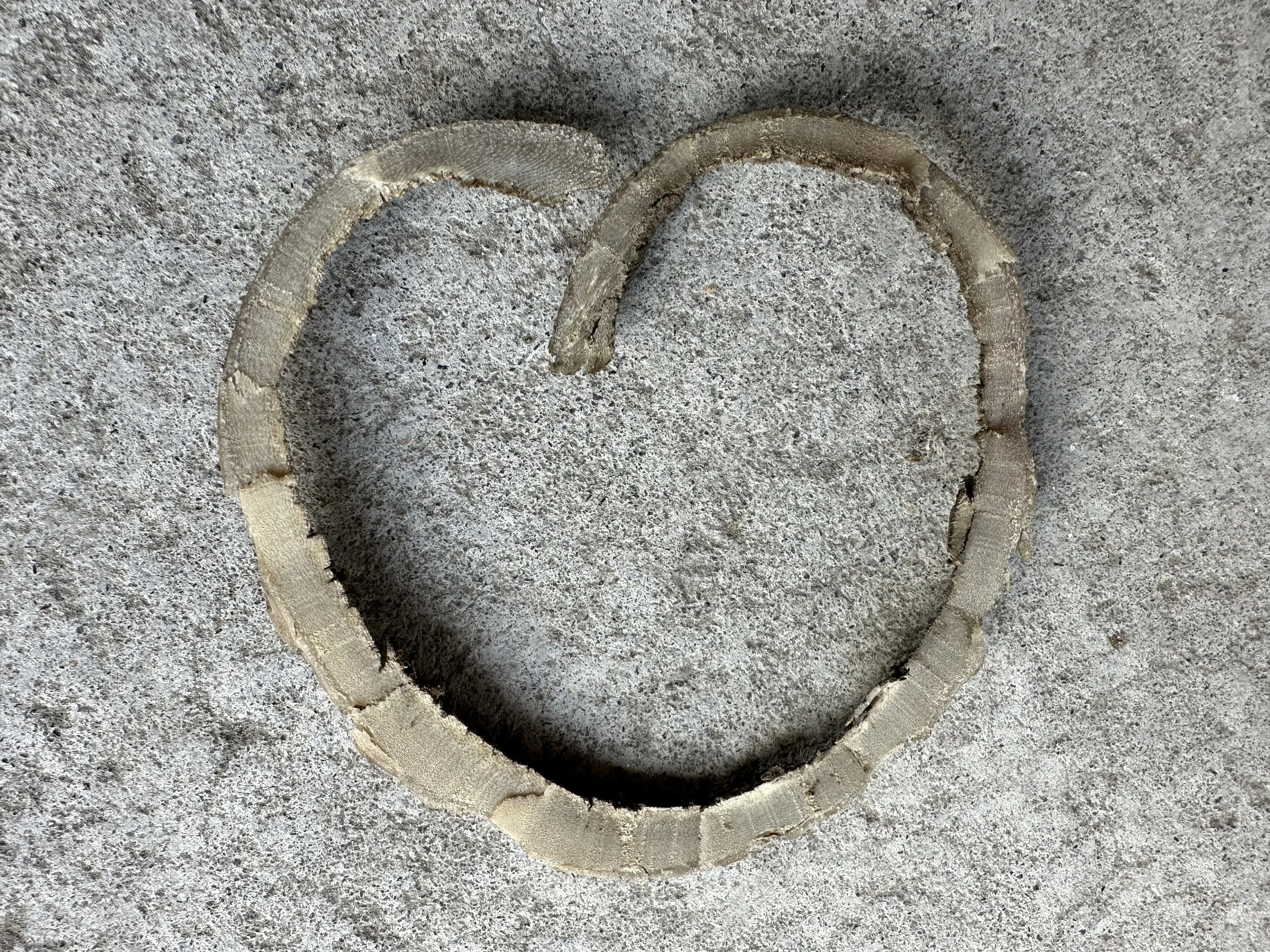 Why …the heart matters 