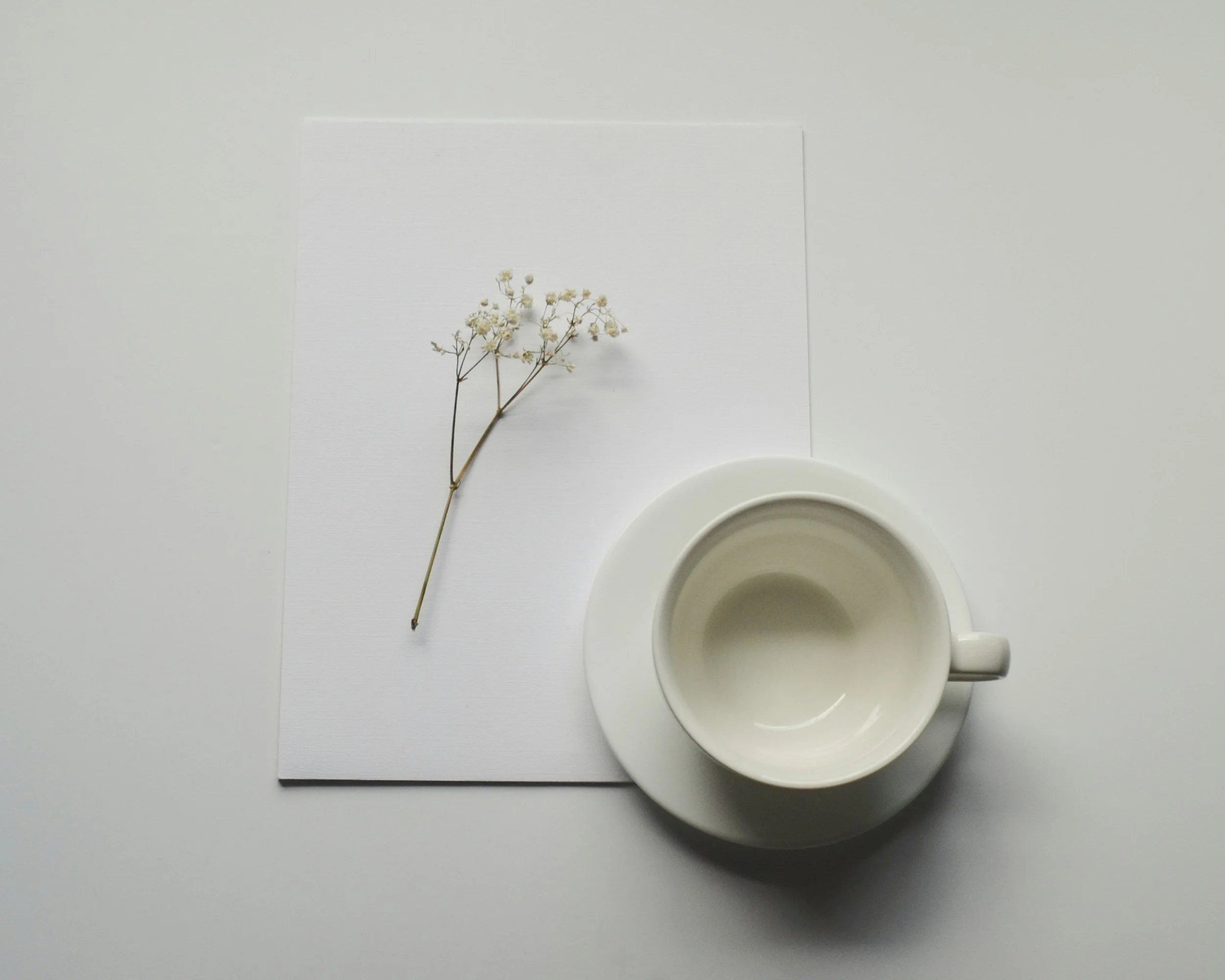 A white flower with small, delicate petals on a thin, long stem, resting on a white piece of paper. A white coffee cup is positioned at the bottom right of the image, with a handle facing right, also on a white surface.