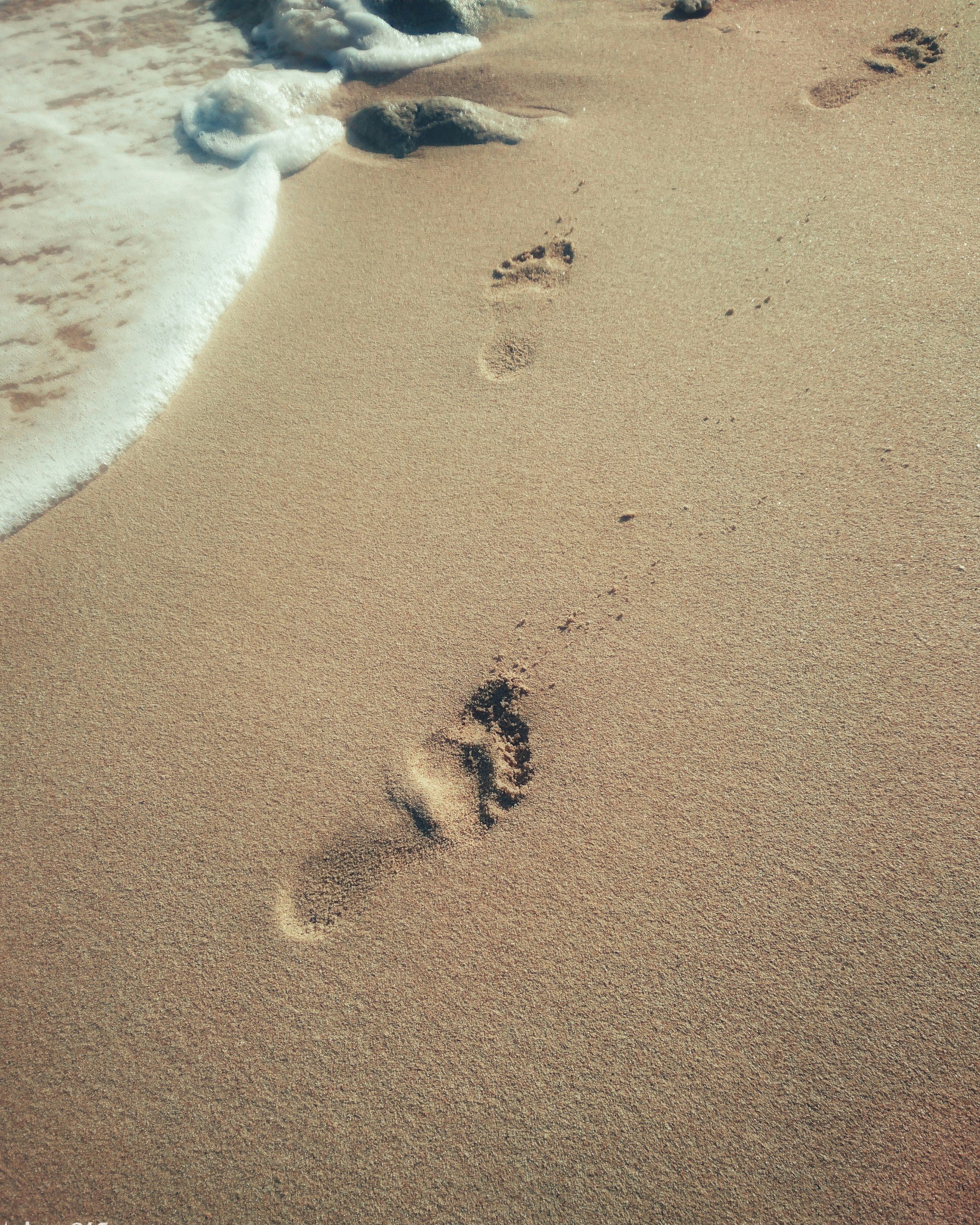 Footprints in wet sand on the beach with foam from the ocean at the shore.