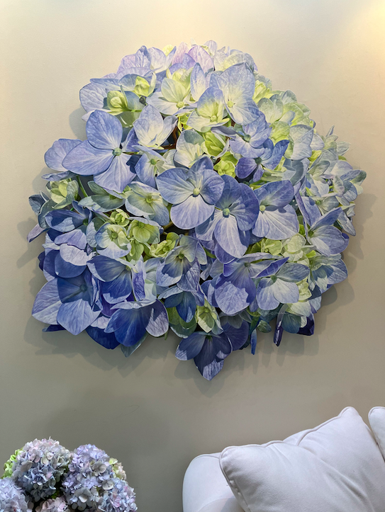 Screen Shot 2025-11-20 at 1.51.05 pm.png