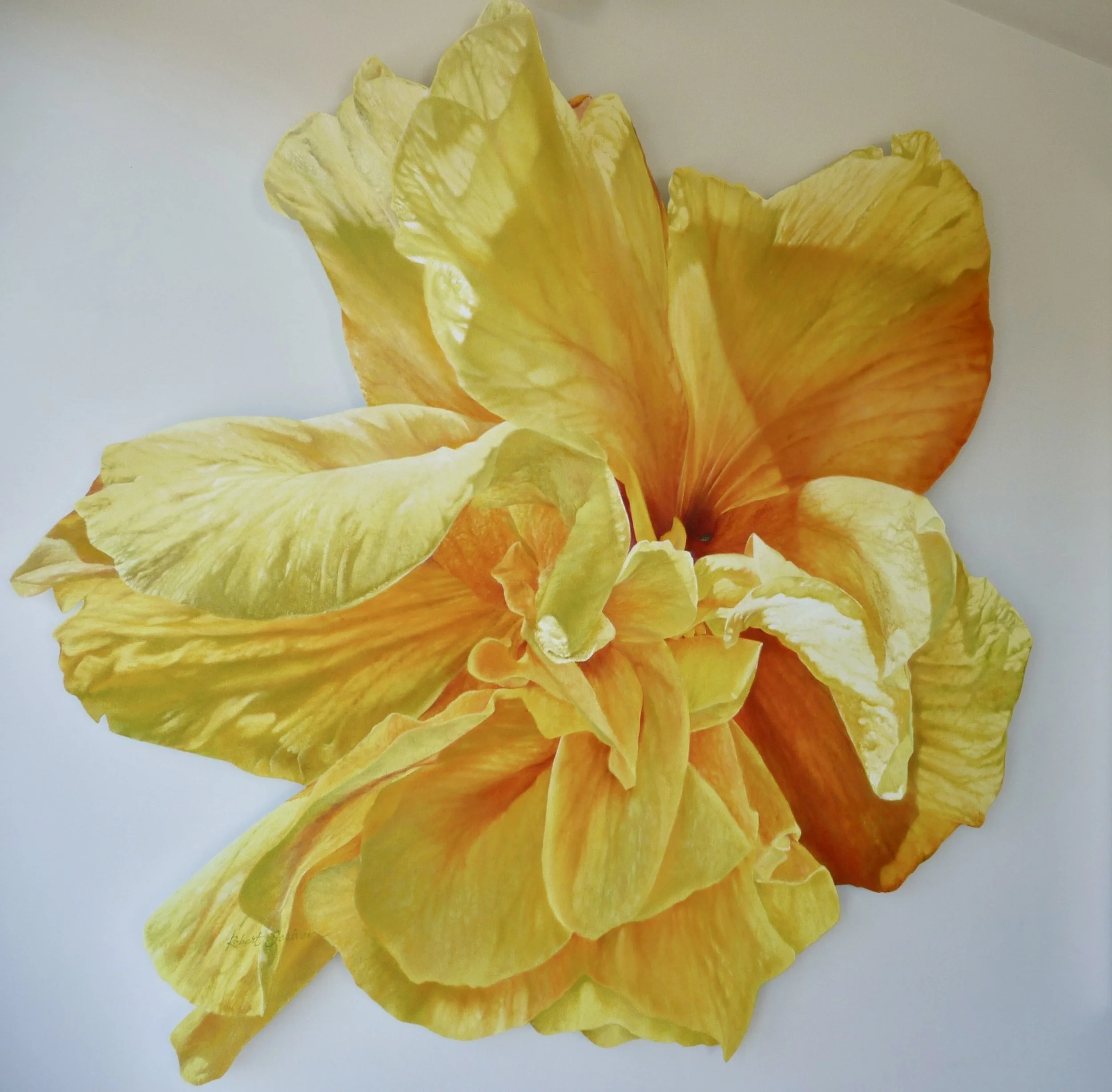 Hibiscus Yellow