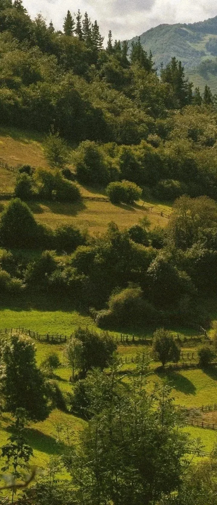 Scenic view of a lush green hillside with trees and wooden fences, with mountains in the background under a cloudy sky.