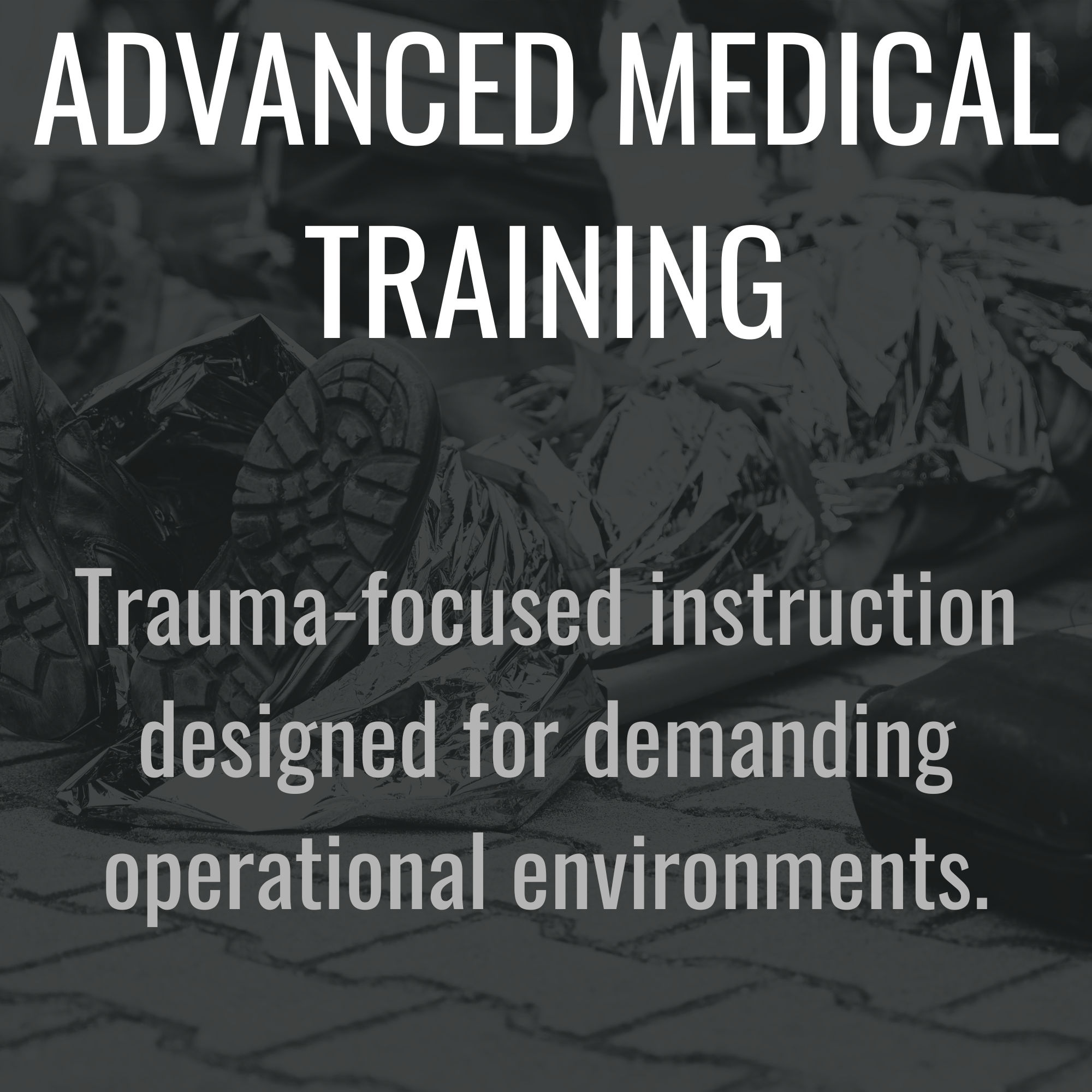 PROGRAMS & CAPABILITIES — The Revere Group