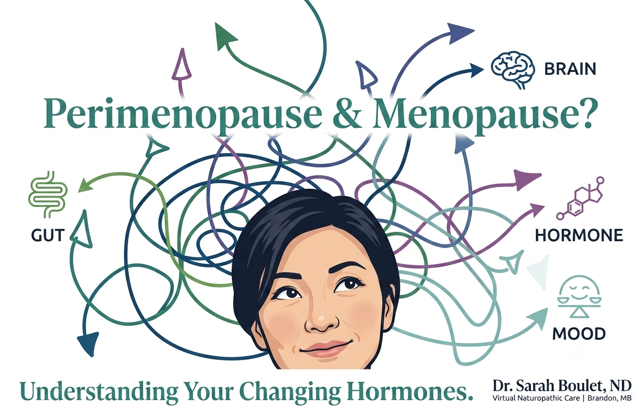 Perimenopause &amp; Menopause: Understanding Your Changing Hormones