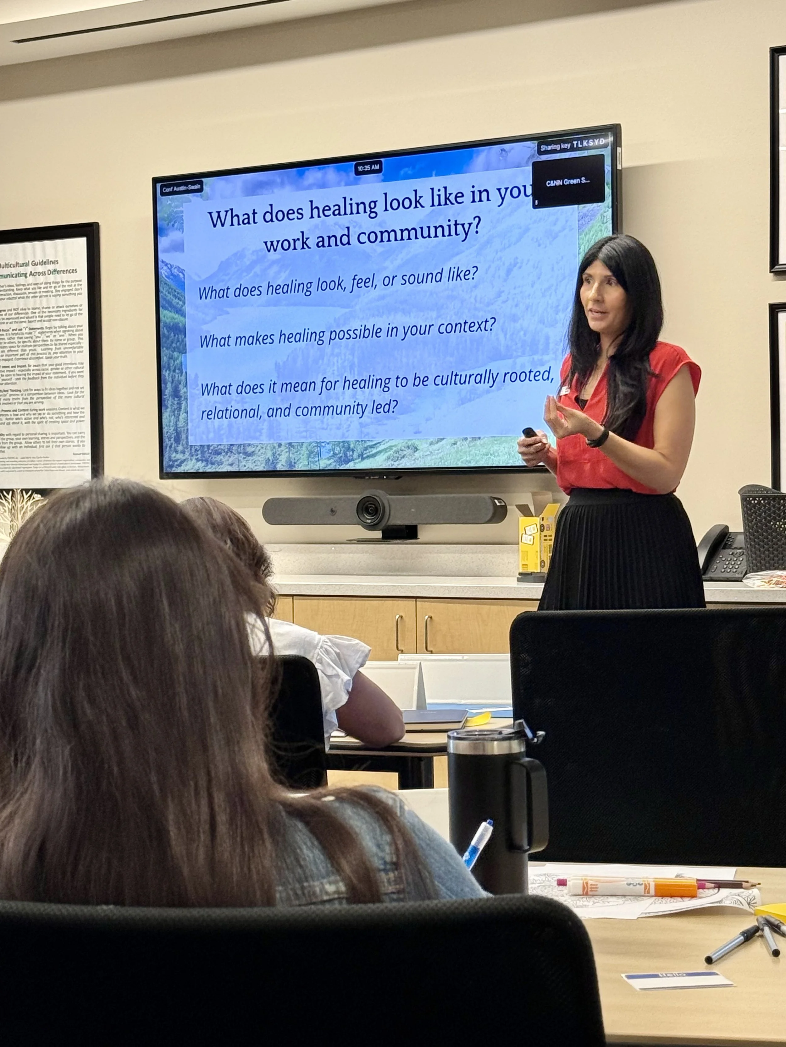 Jen presenting Nature as Healer to a professional audience.