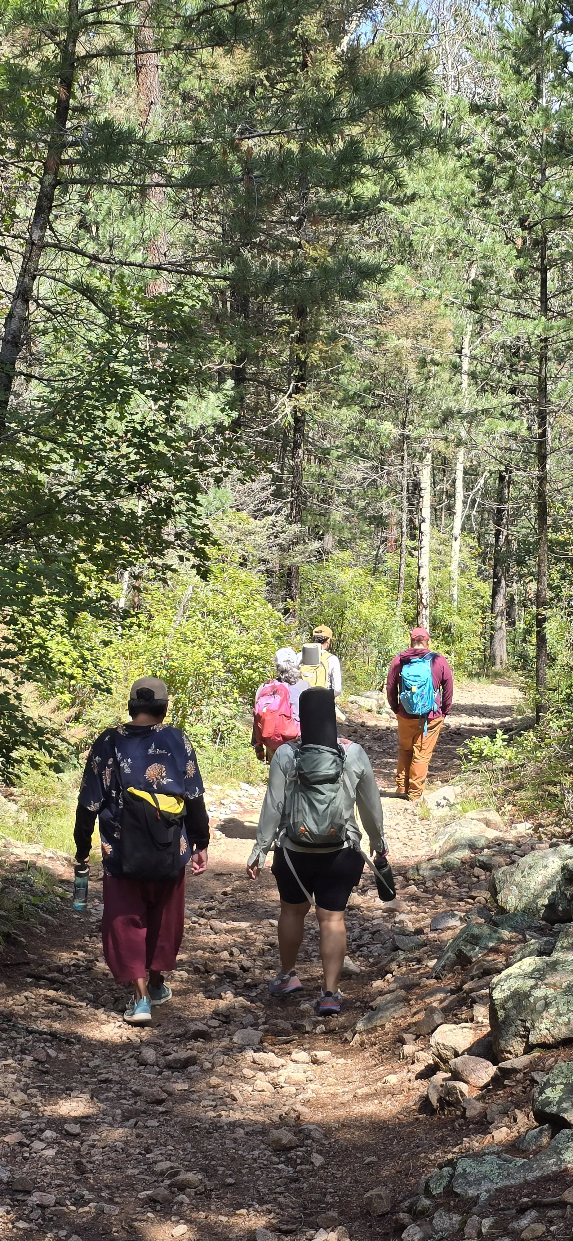 Participants walking along a wooded trail during a forest-bathing activity led by Jen.