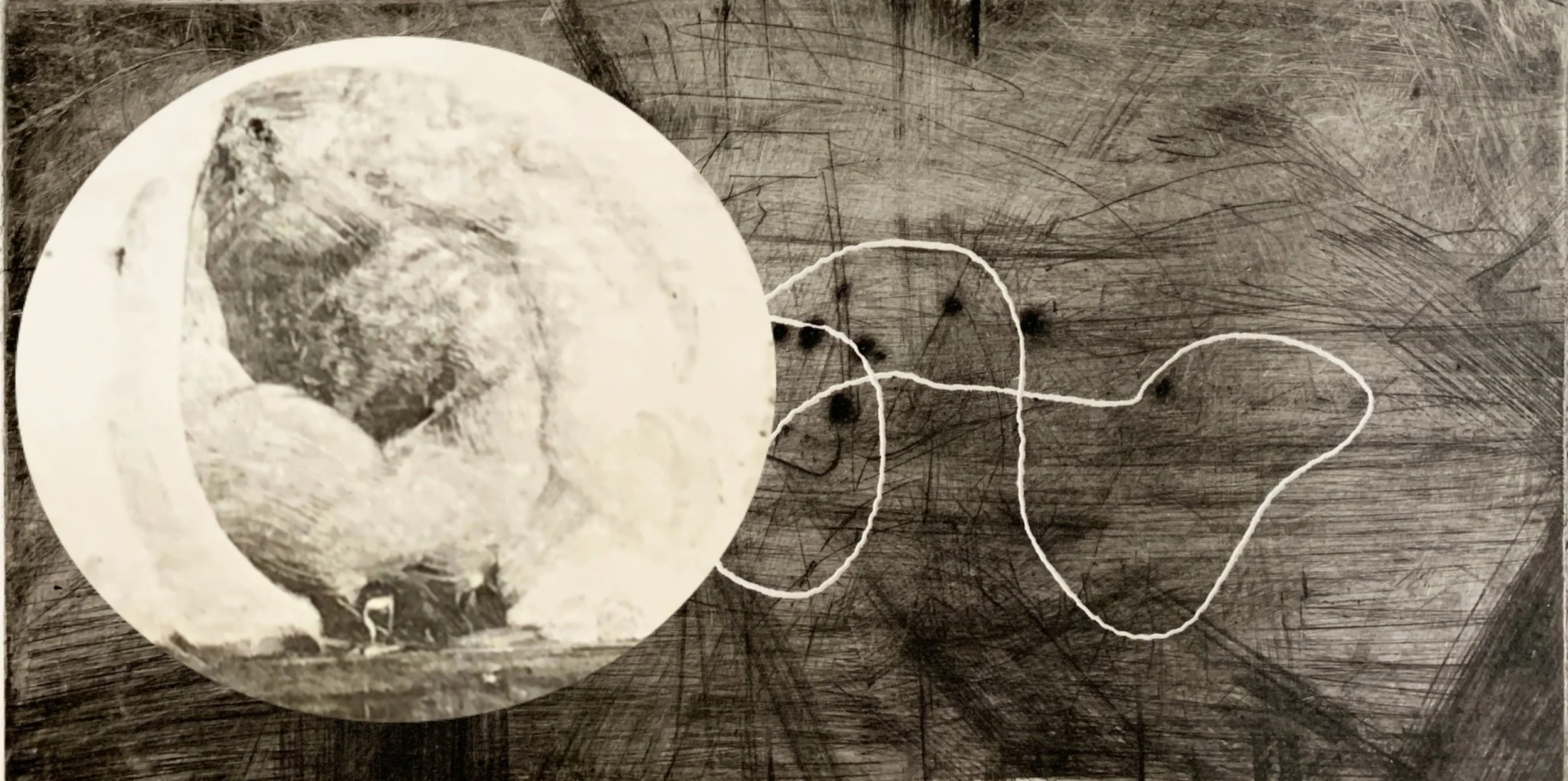 Vintage black and white photograph of an etching with an homunculus on the left. A piece of string is arranged next to the frame.