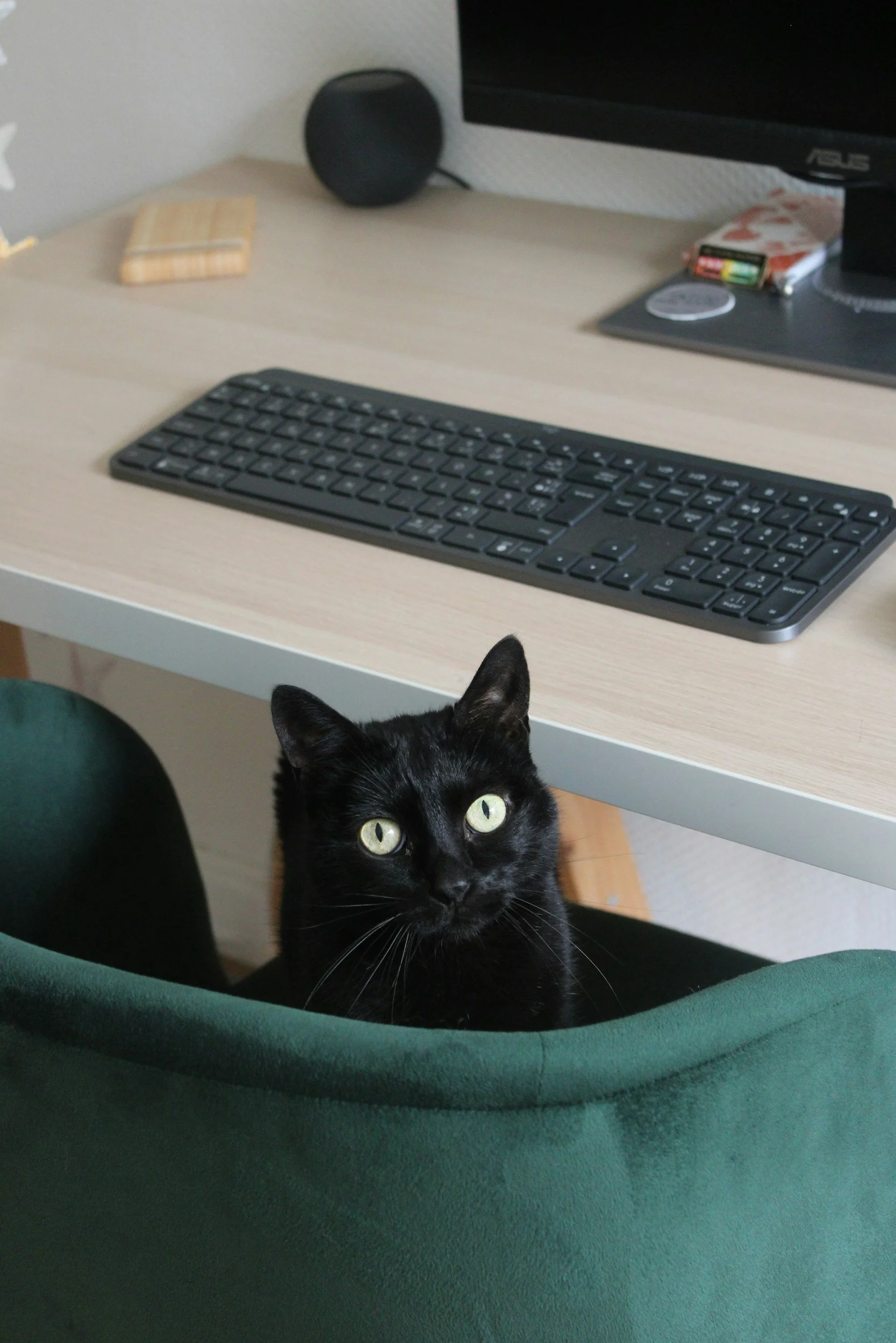 A black cat sitting on a green chair in front of a desk with a computer keyboard, monitor, and a small speaker.