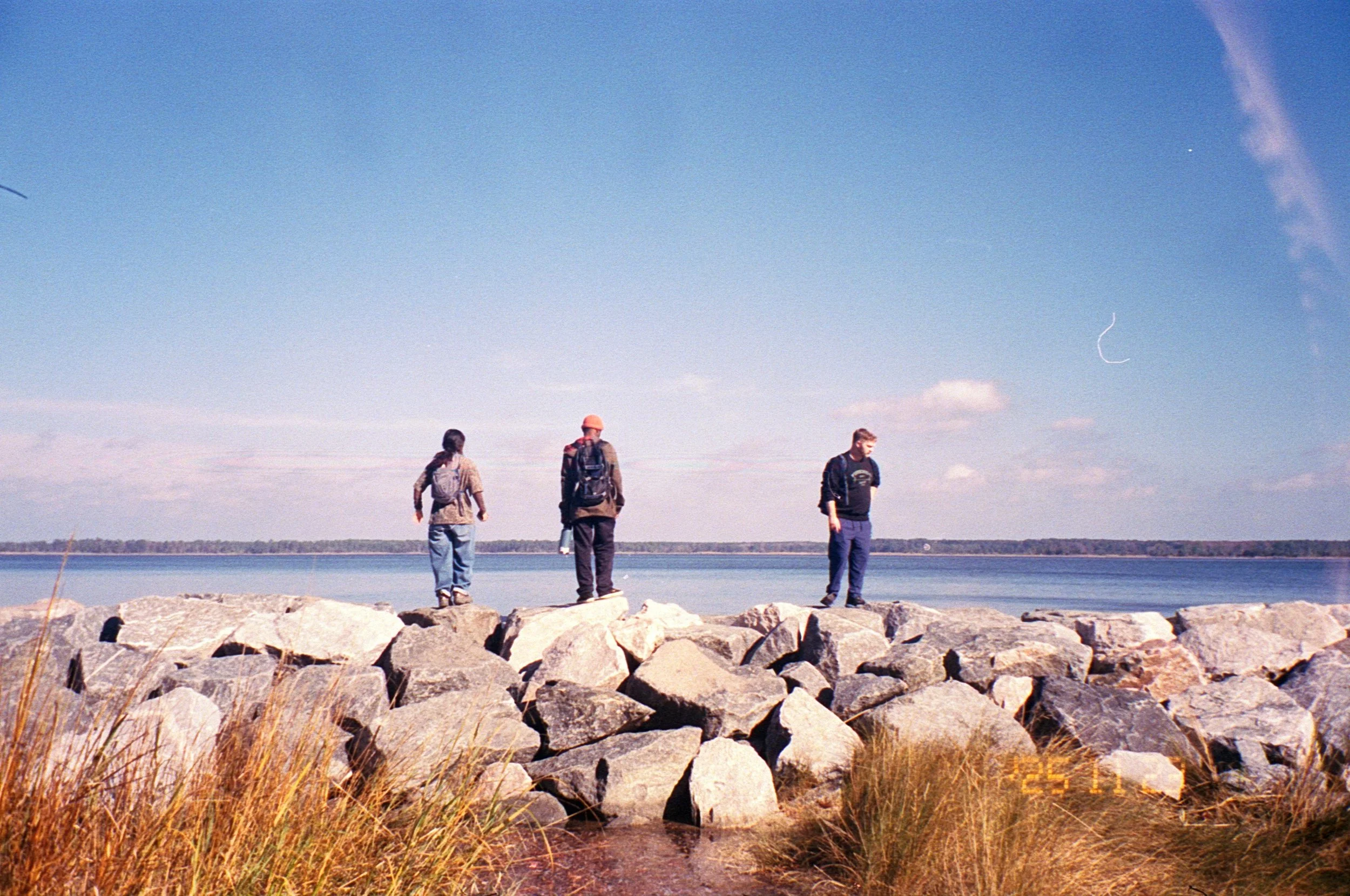 a leisure hike in york river state park, disappointing lack of mushrooms this close to the river