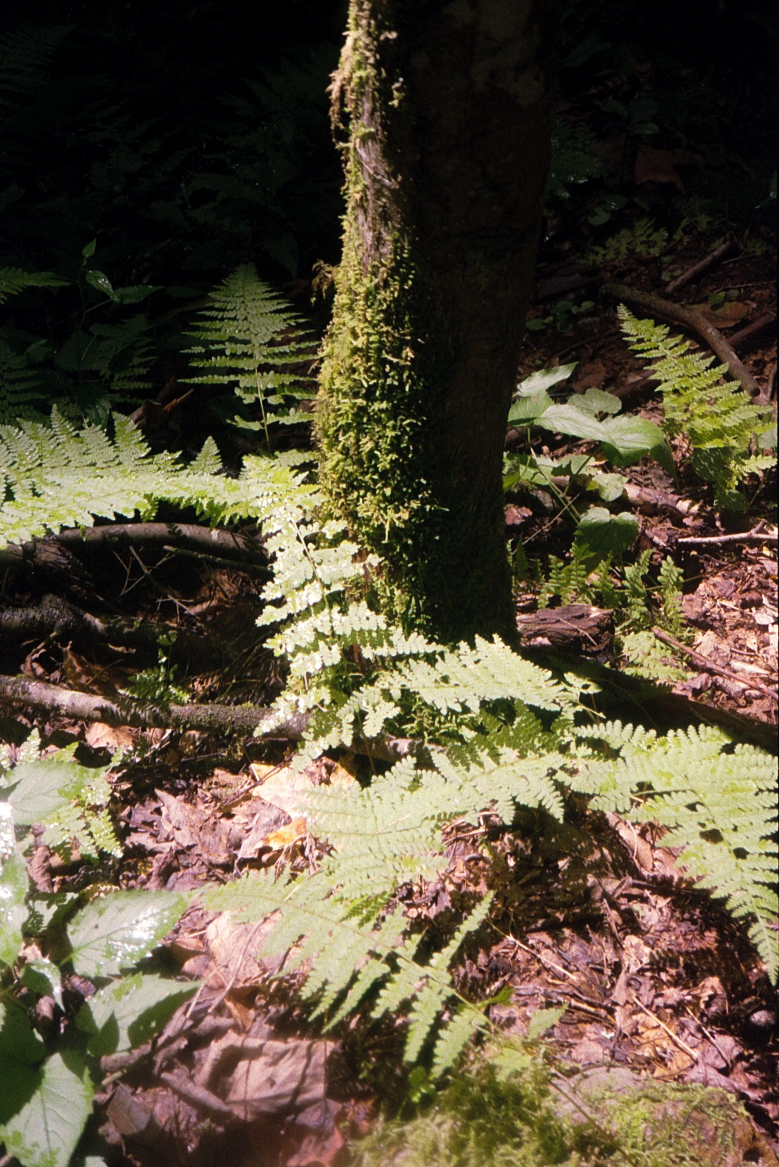 31-08082025_ultramax400c_27.jpg