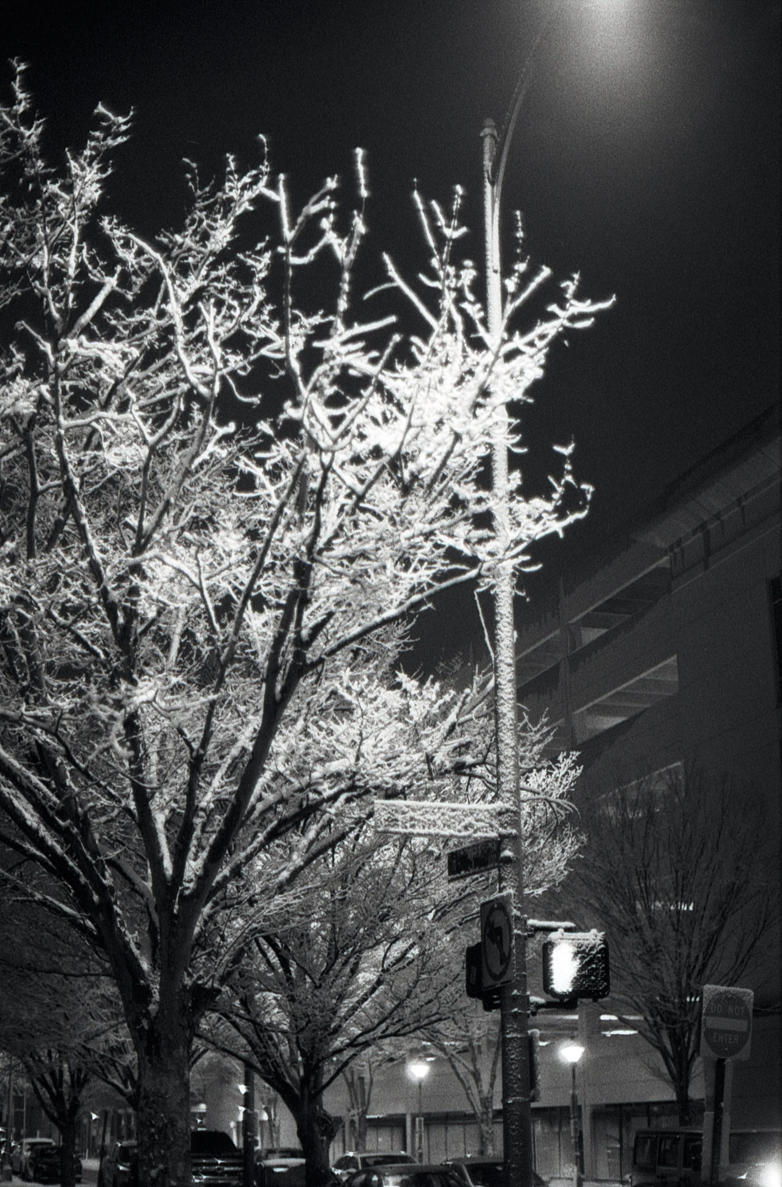 developing experiment with caffenol, incredible result to be honest, if I can keep reproducing this result then caffenol might become my go-to developer from now on