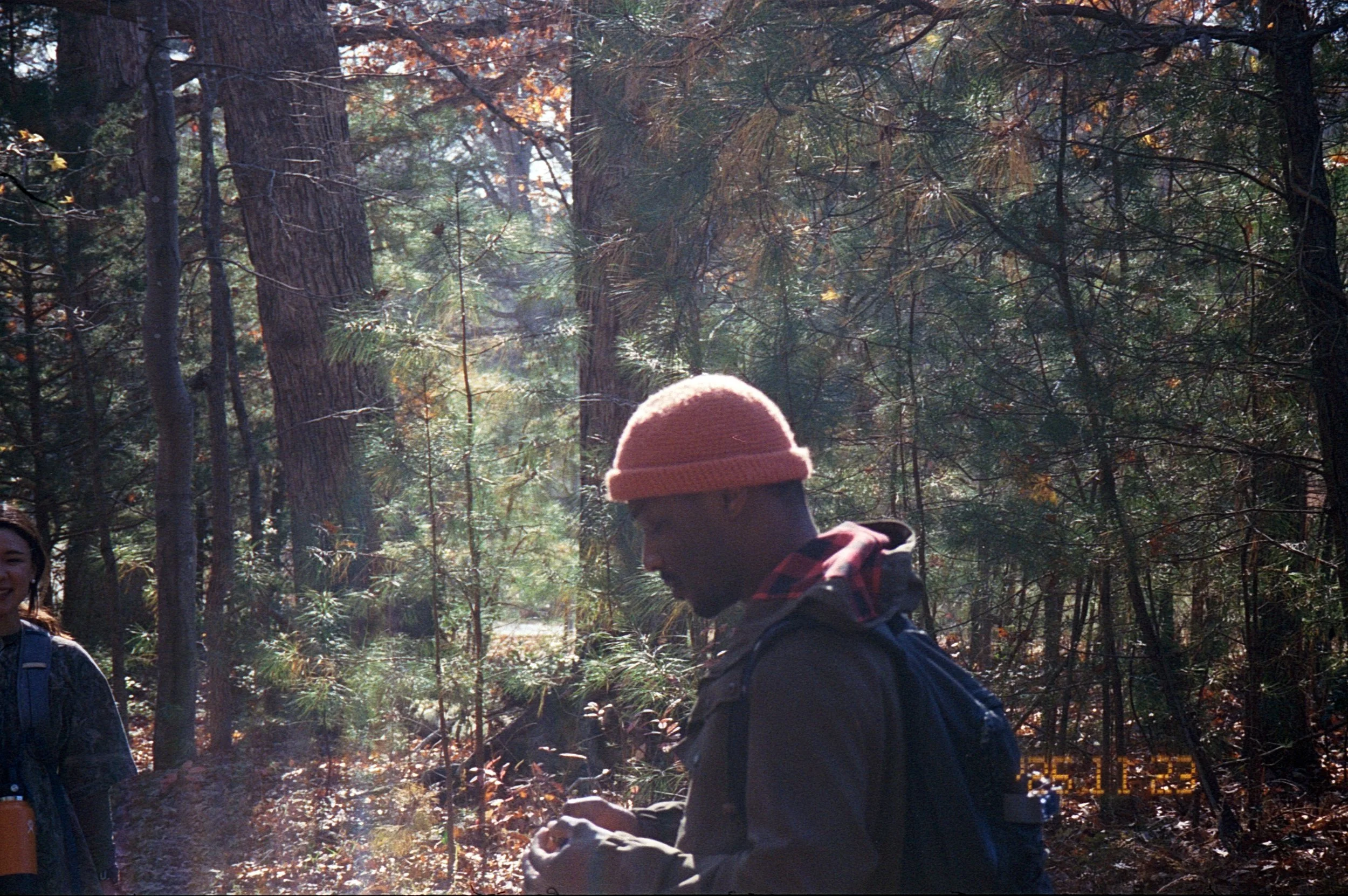 a leisure hike in york river state park, disappointing lack of mushrooms this close to the river