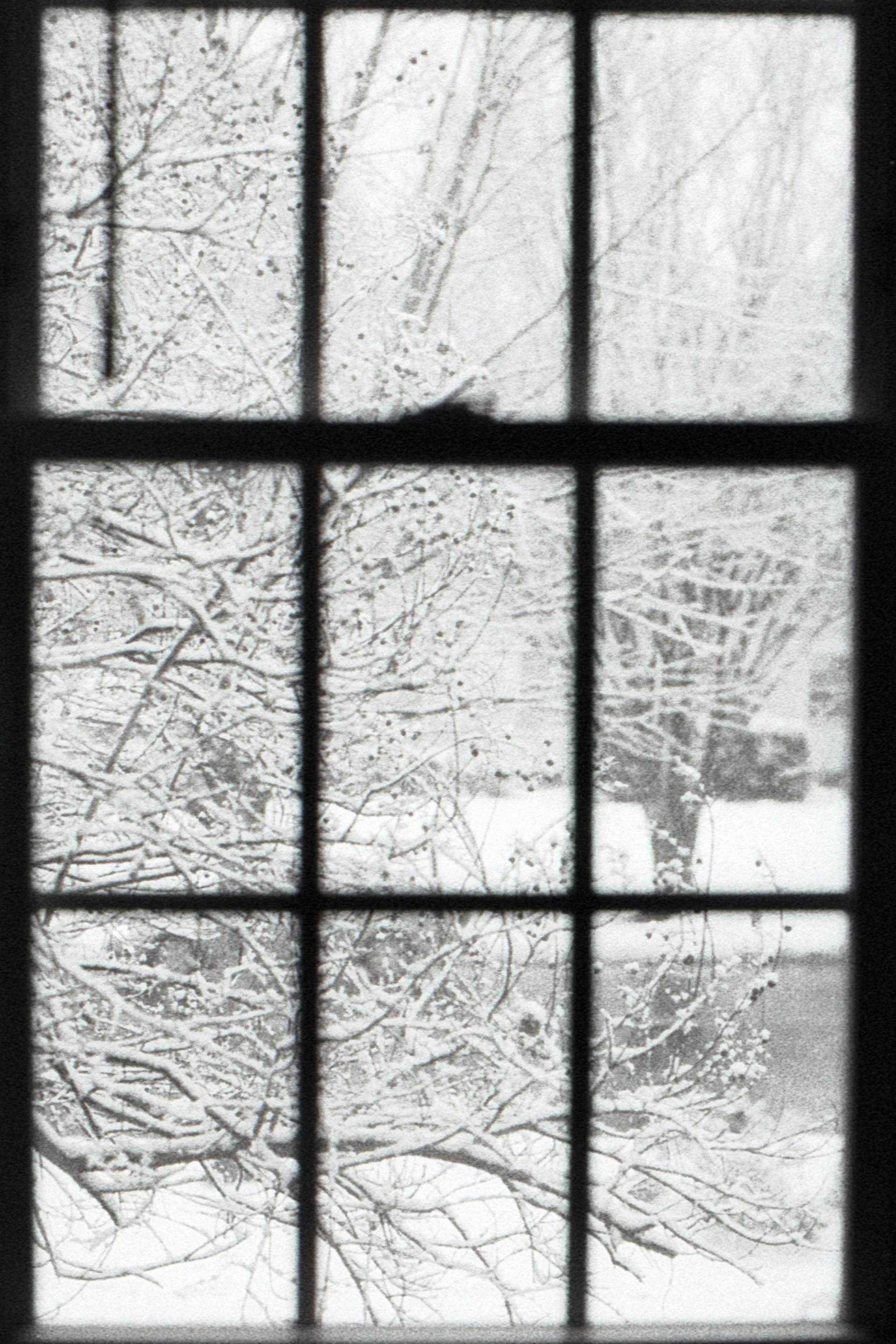 developing experiment with caffenol, incredible result to be honest, if I can keep reproducing this result then caffenol might become my go-to developer from now on